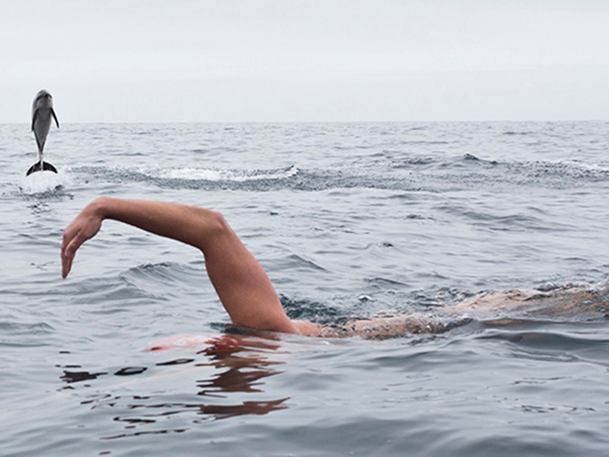 Adam Walker swimming with dolphins