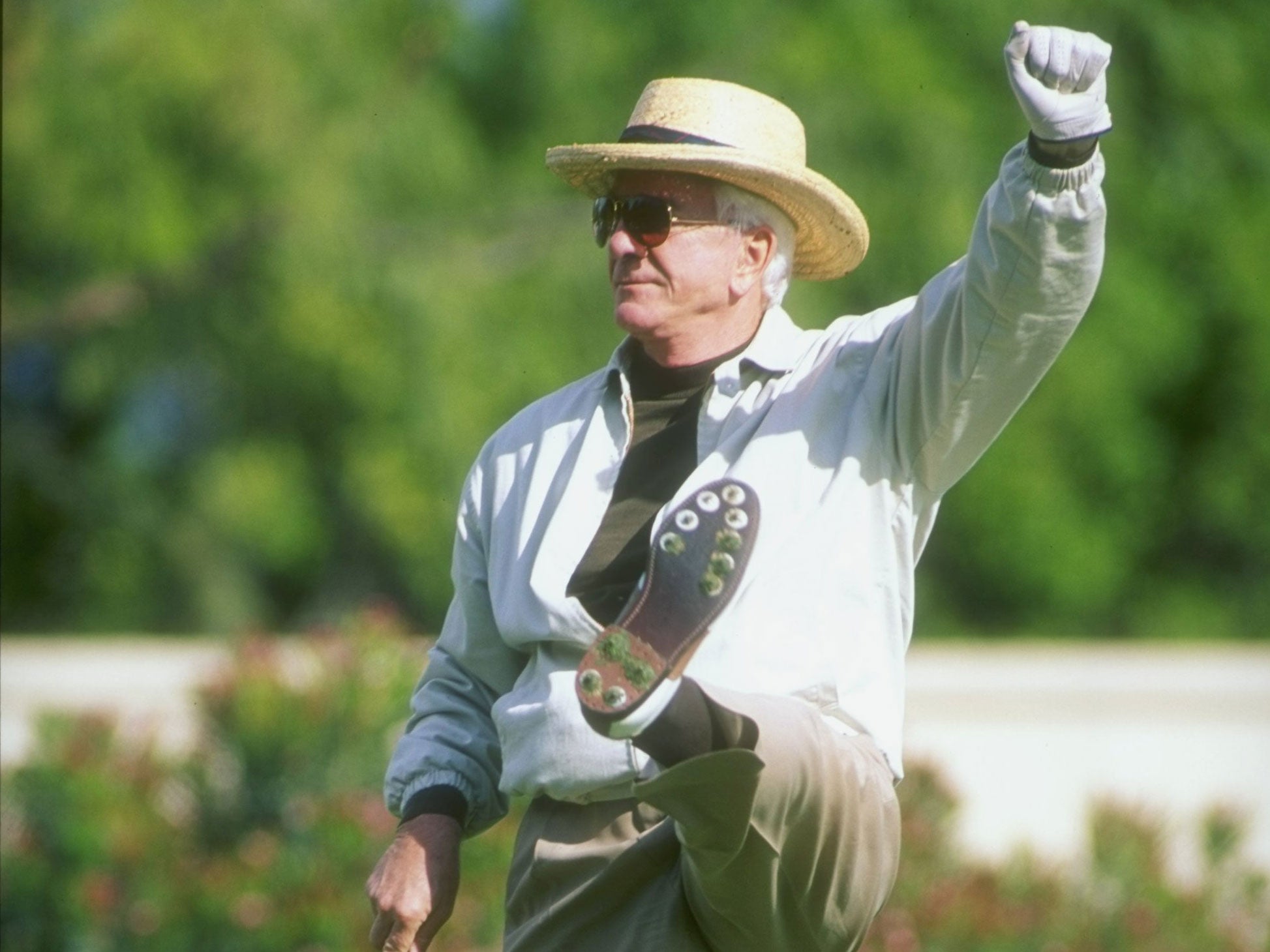 Veteran comic actor Leslie Nielsen died in 2010