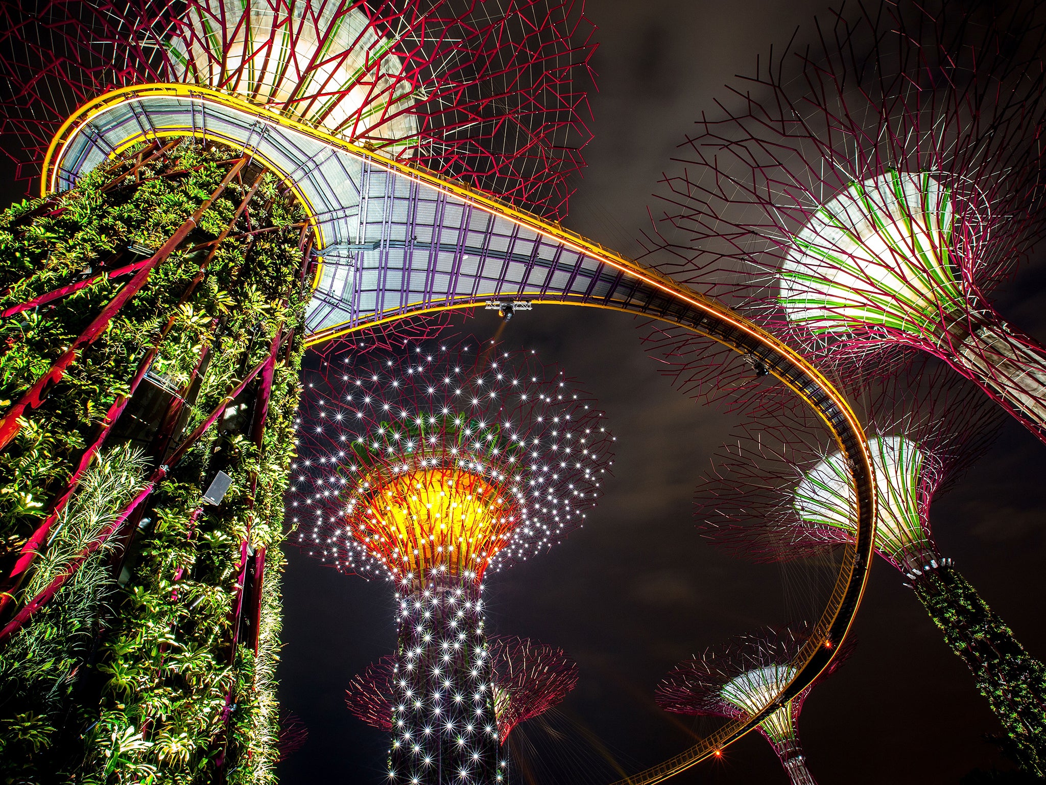 The Supertree Grove is illuminated during the Gardens by the Bay, Light and Sound show in Singapore.