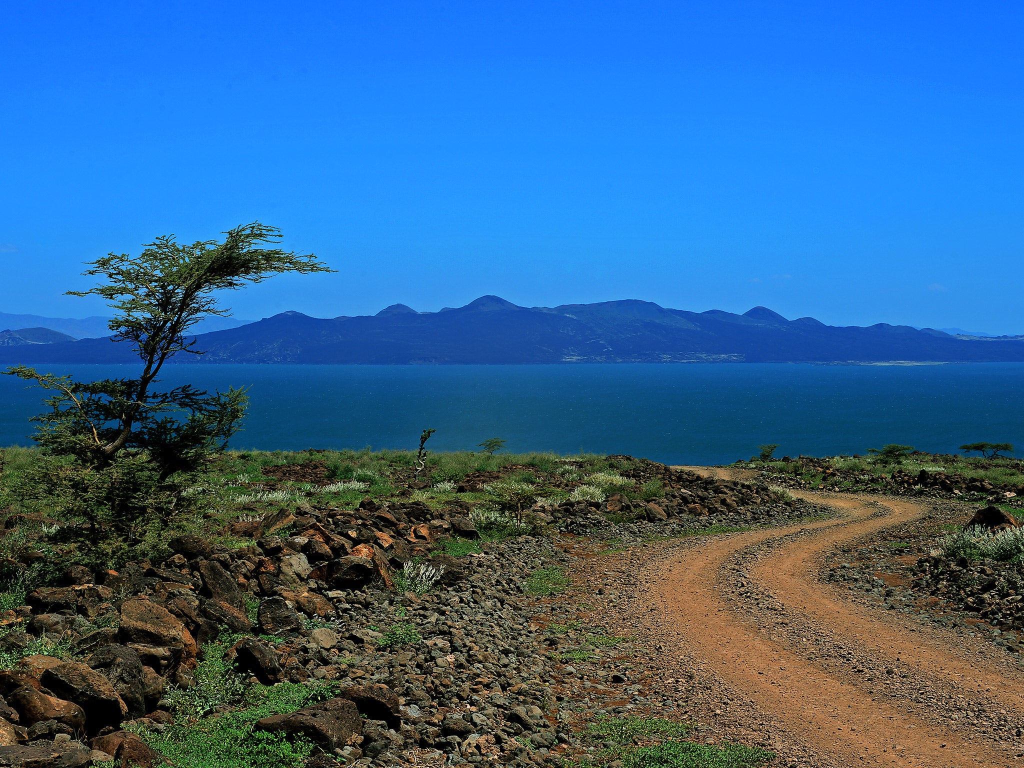 The discovery was made at a site near Lake Turkana, pictured (Getty)