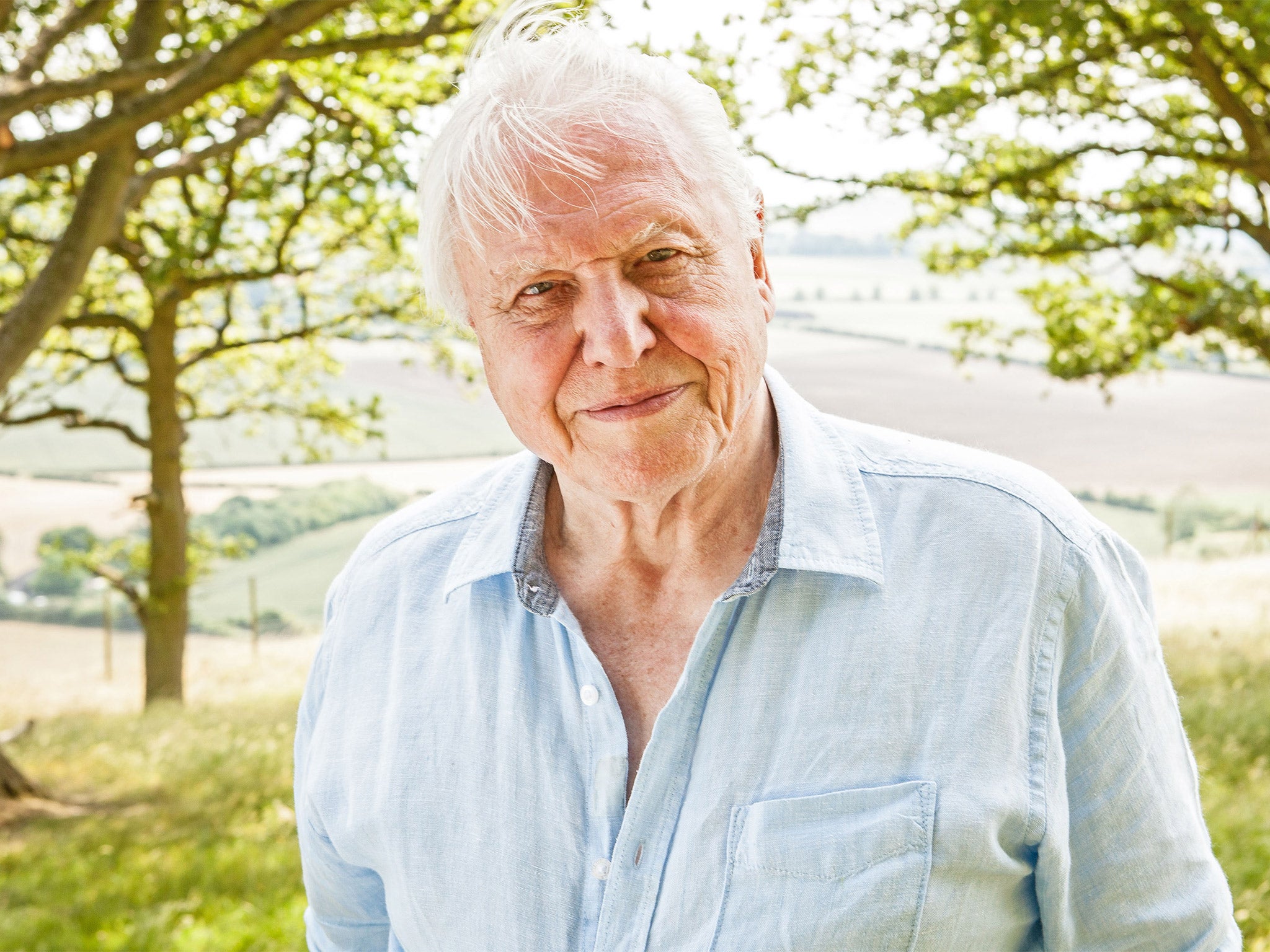 Giant in his field: Sir David’s nature programming has taken him all over the world