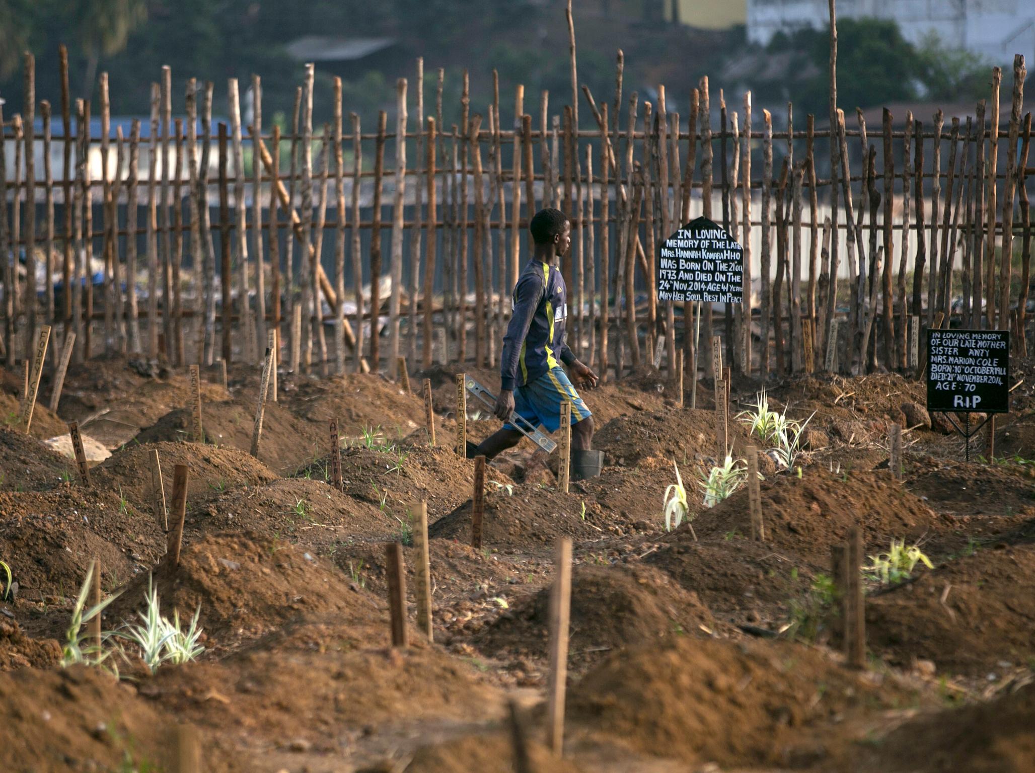 A grave digger walks past fresh graves at a cemetery in Freetown, Sierra Leone, December 20, 2014