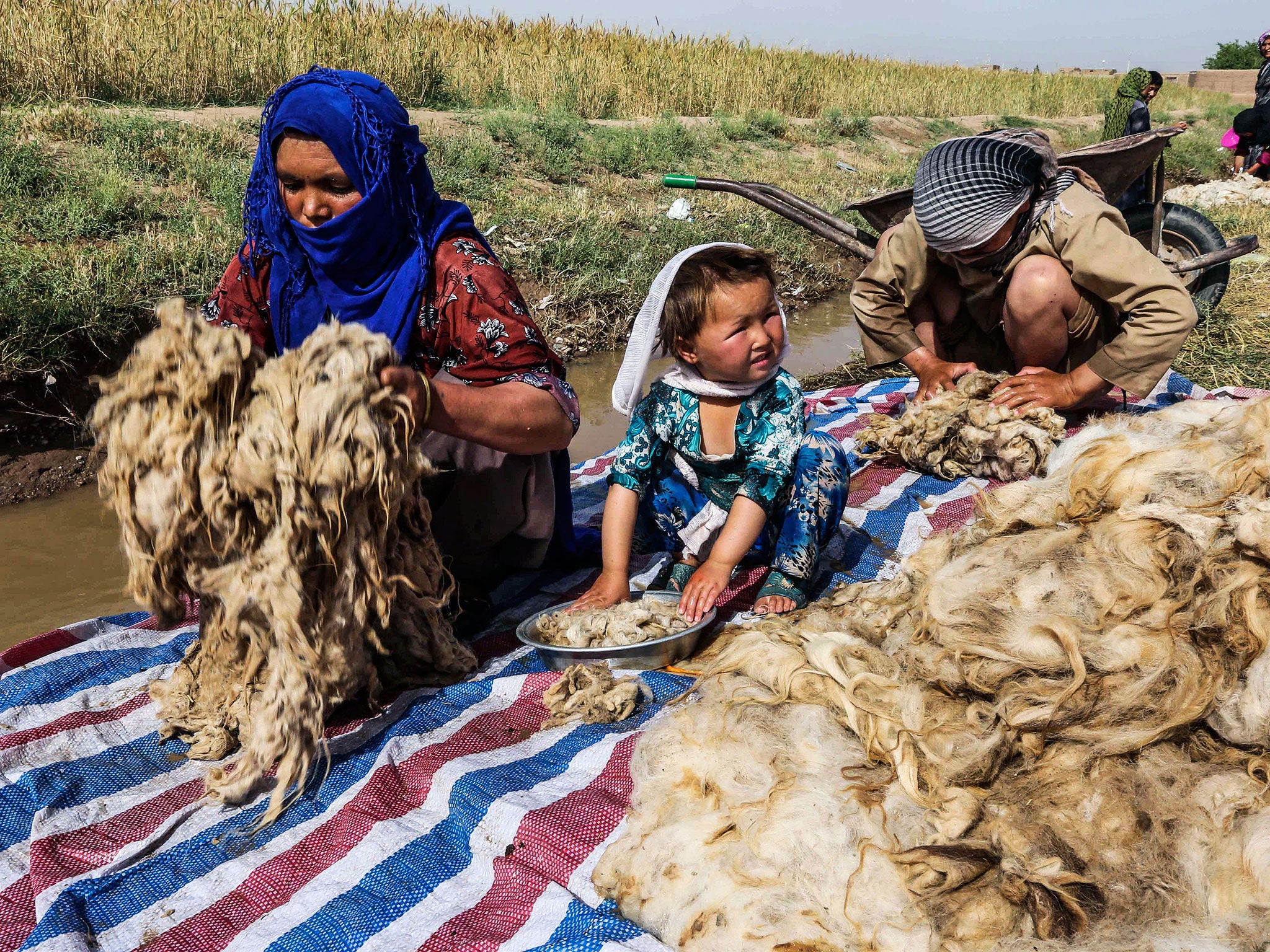 Afghans washing goat hair to make into yarn in Herat, Afghanistan