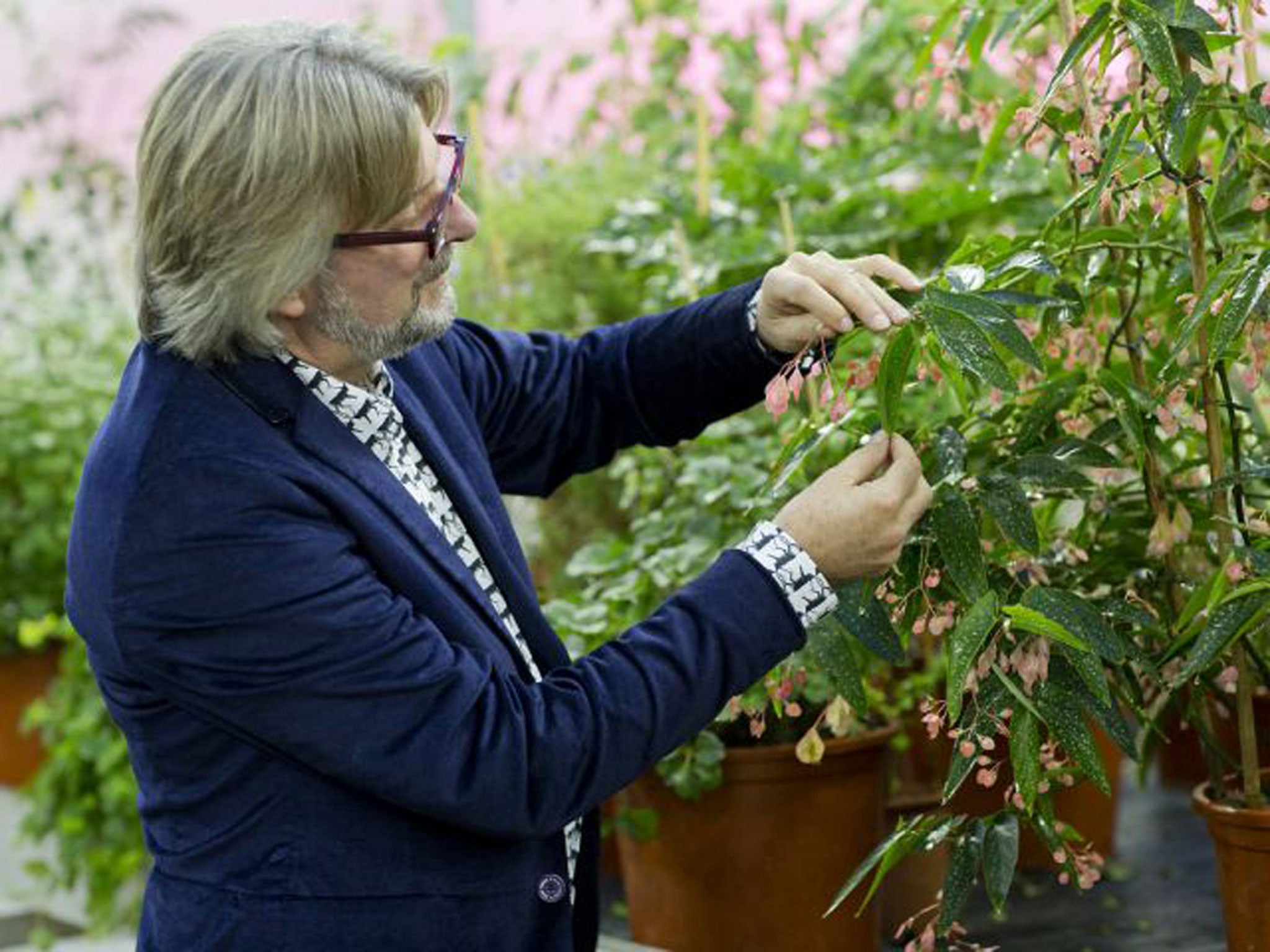 Rob Baan tending to some of the plants in his greenhouse (Tom Moggach)