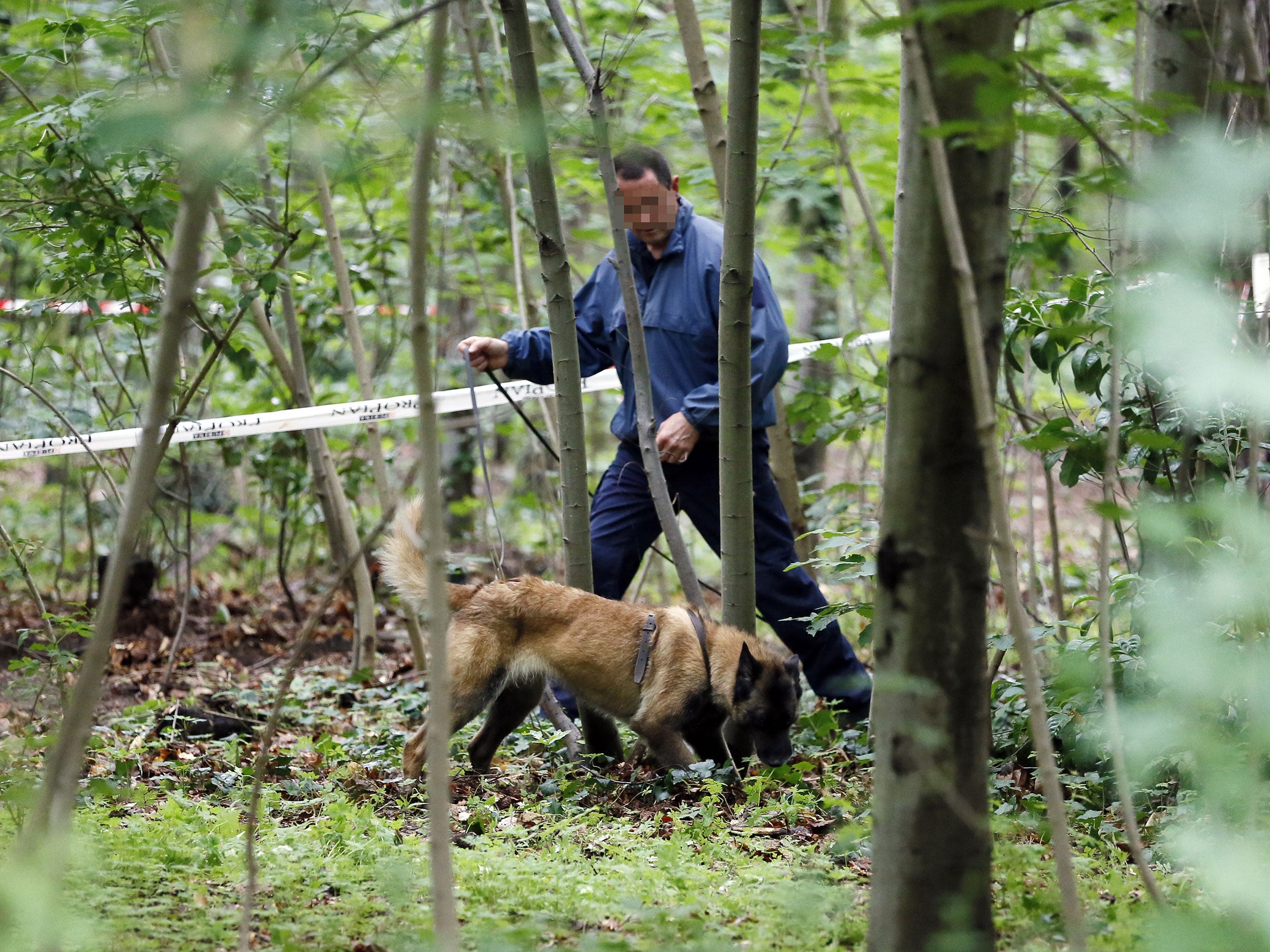 French policemen investigates with a police dog at the Vincennes forest in June 2012 after a second human torso was discovered in the woods