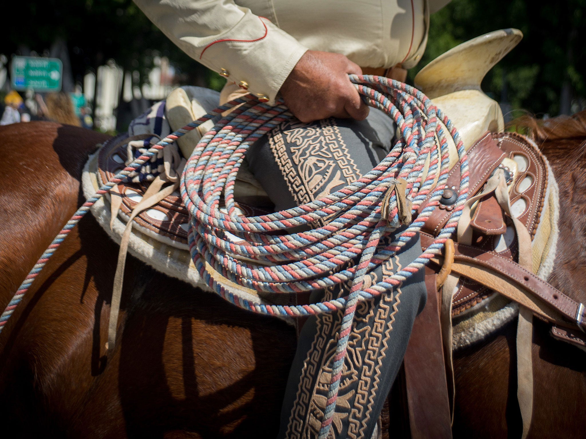 "On day one I was woken at the crack of dawn and told to saddle up"