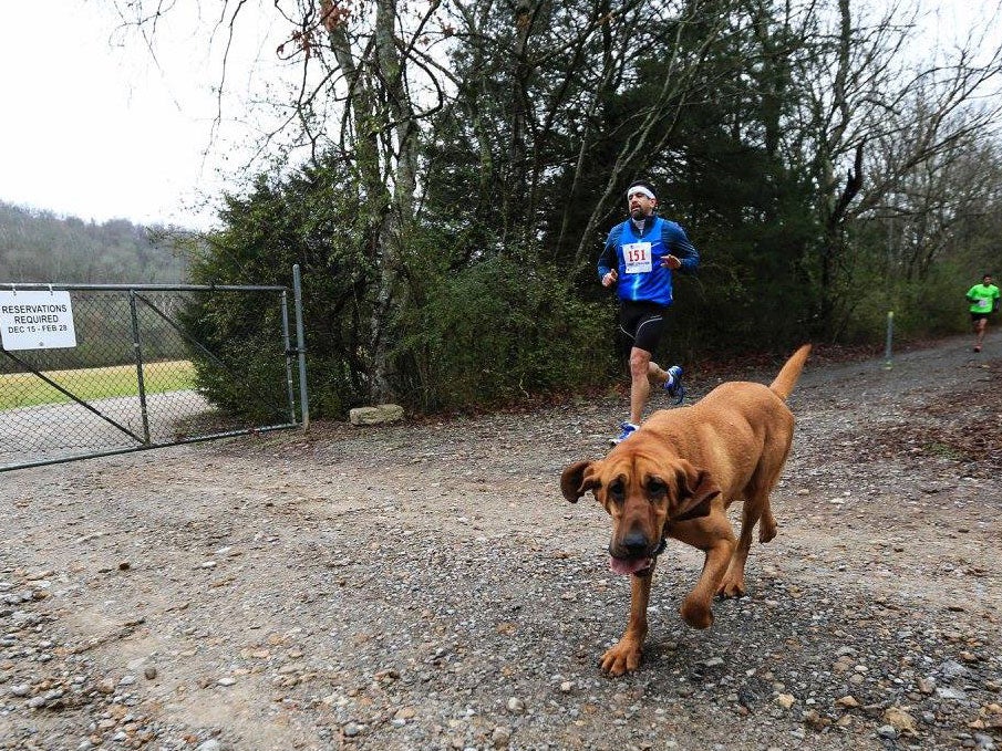 Two-and-a-half year old Ludivane mingled with runners at the start of the Elkmont Trackless Train Treck Half Marathon in Canada