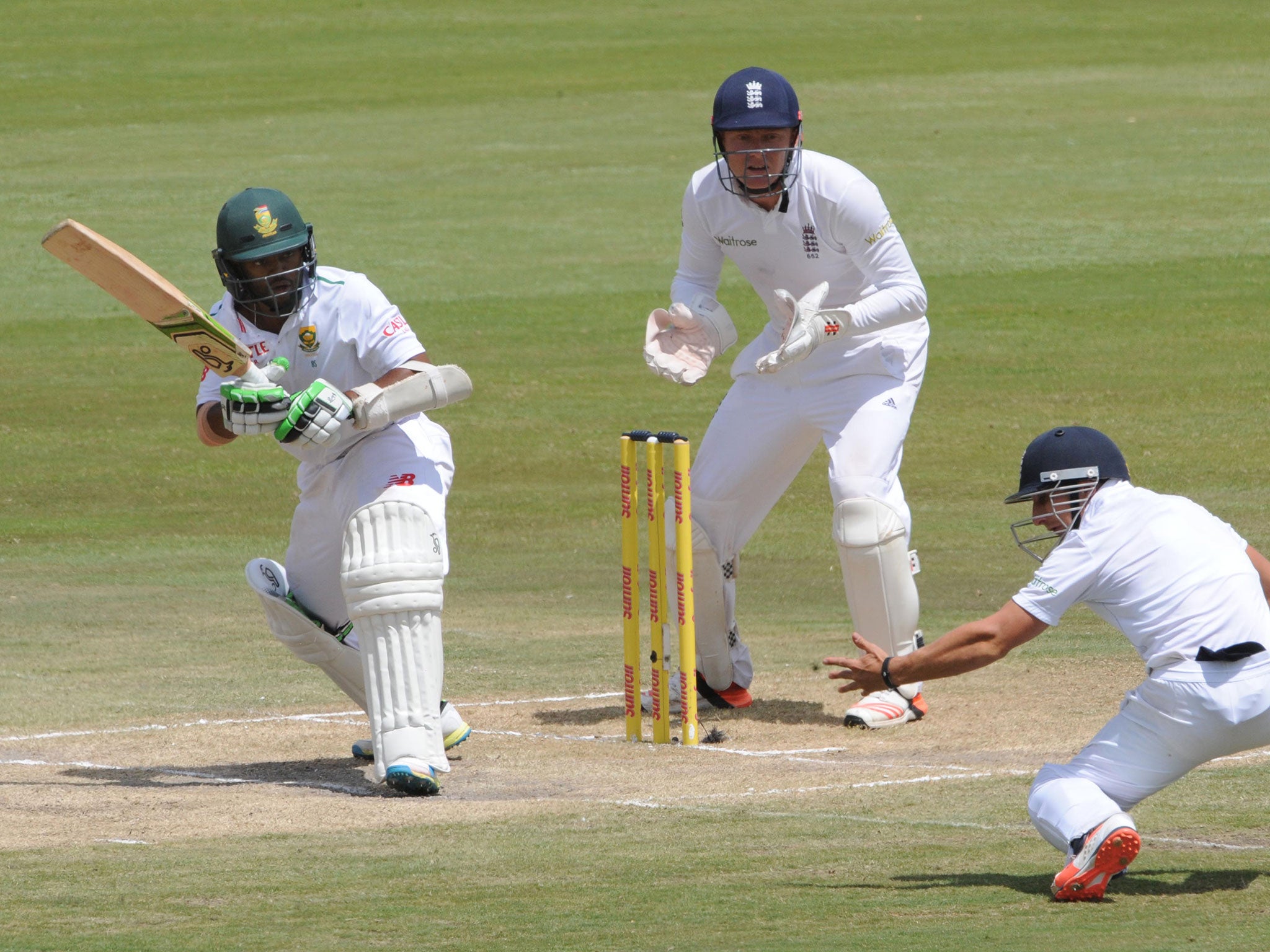 Hashim Amla in action
