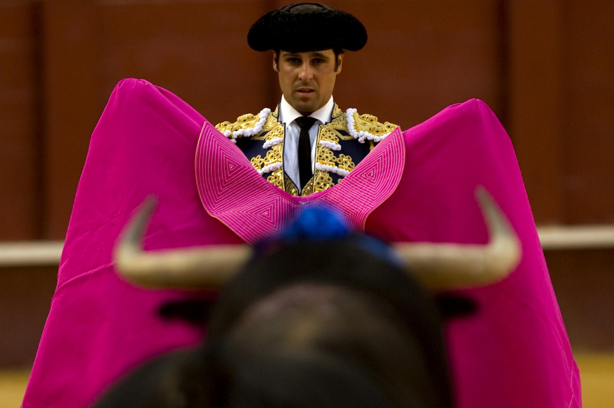 Spanish matador Francisco Rivera Ordonez looks at a bull during a bullfight at the Malagueta Bullring in Malaga