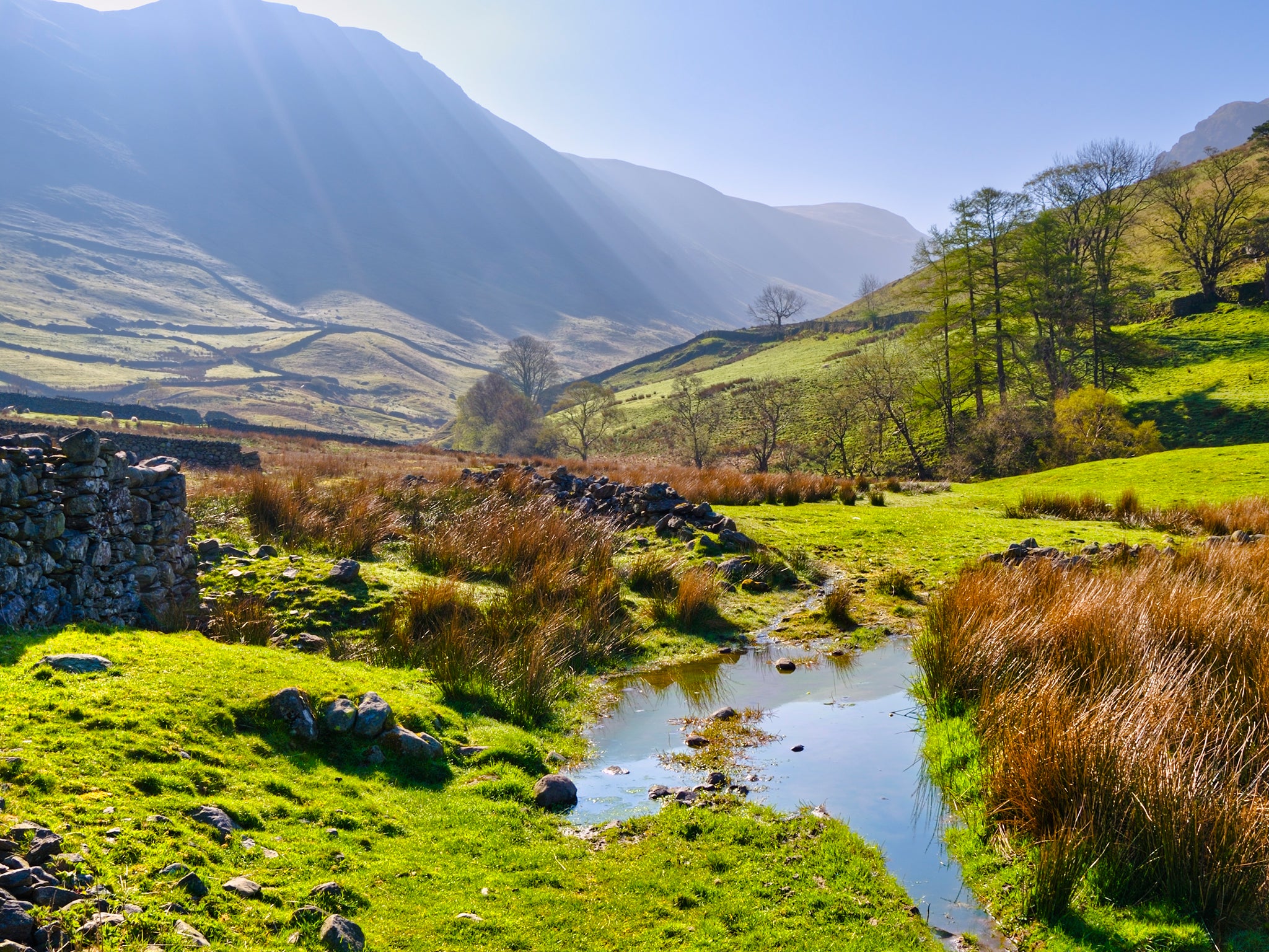 This may be a green and pleasant land now, but peers fear the Government will reduce enforcement of environmental regulations after Brexit