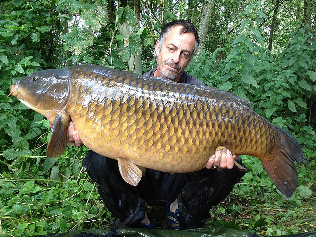 The unknown soldier: this common carp, a relative lightweight at 40lbs, was caught by angler Brian Humphries the night before landing current record breaker The Parrot in 2012