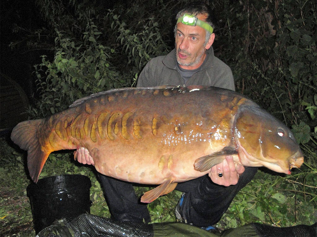 The Parrot: four years ago, when Humphries caught the colossus of Cranwells Lake, Reading, the creature weighed just short of 60lbs, but it has since gained an extra 8lbs 3oz