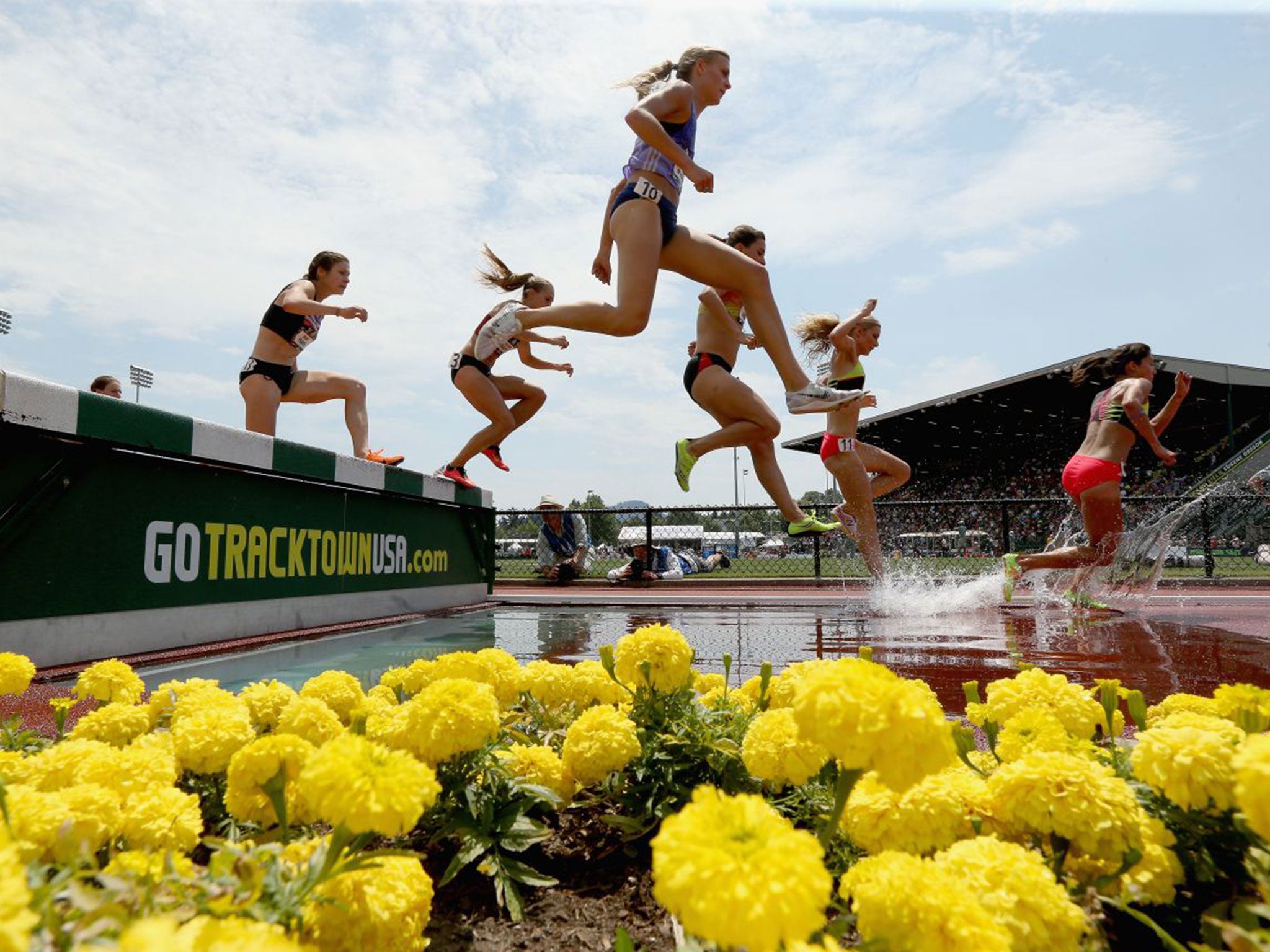 Athletes compete in the steeplechase at Hayward Field in Eugene, Oregon last year