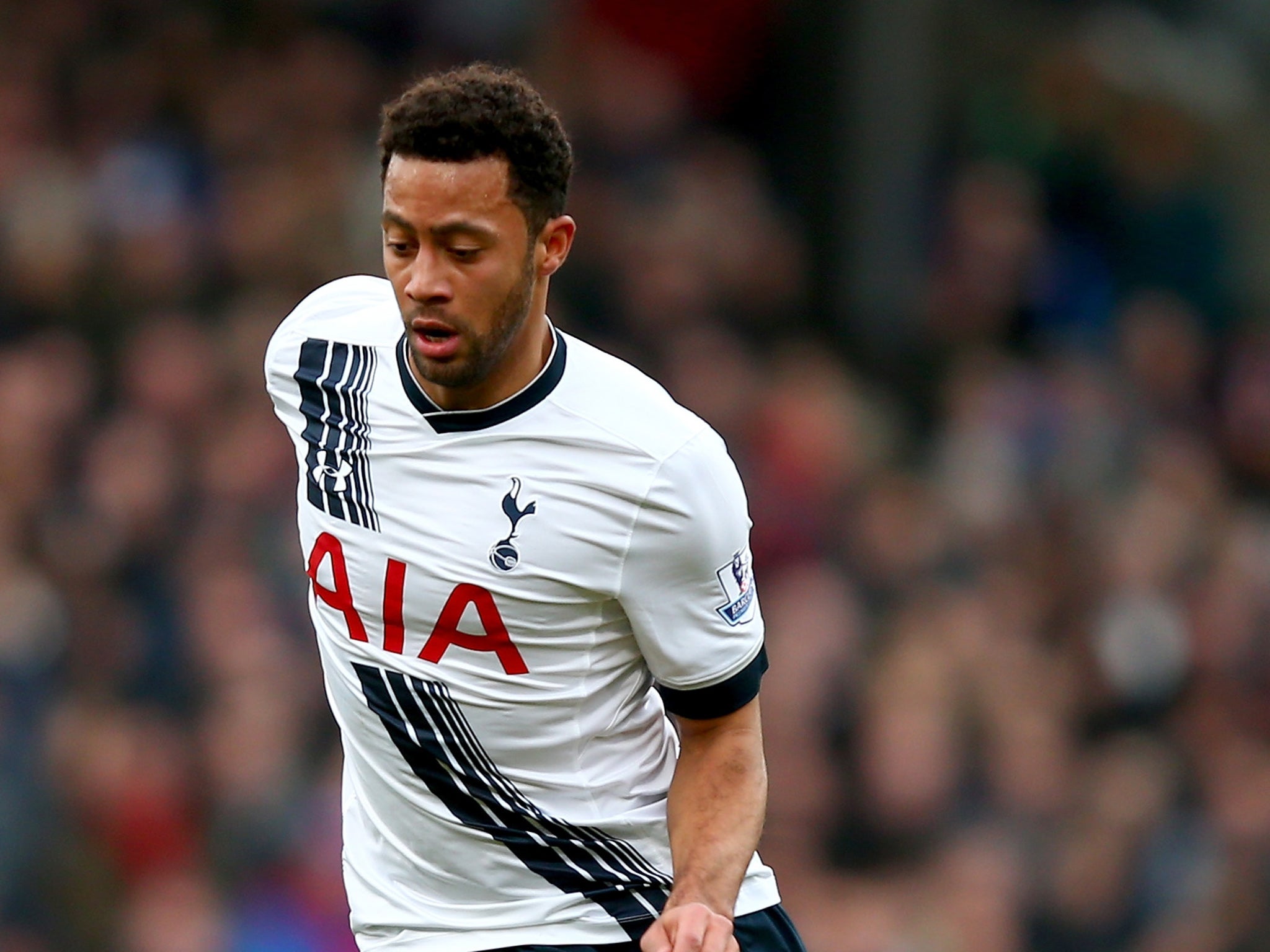 Tottenham Hotspur midfielder Mousa Dembele