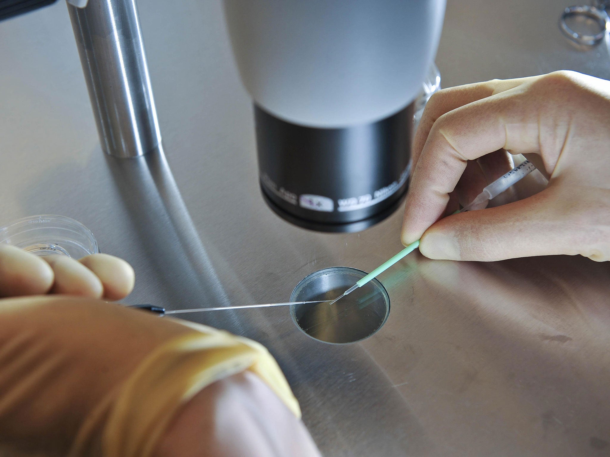 File image of embryos being prepared for instant freezing for use in fertility programmes, as scientists were given permission to genetically modify human embryos for the first time in the UK