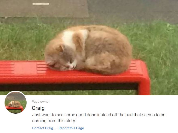 A fundraising page has received nearly £3,000 in memory of the cat