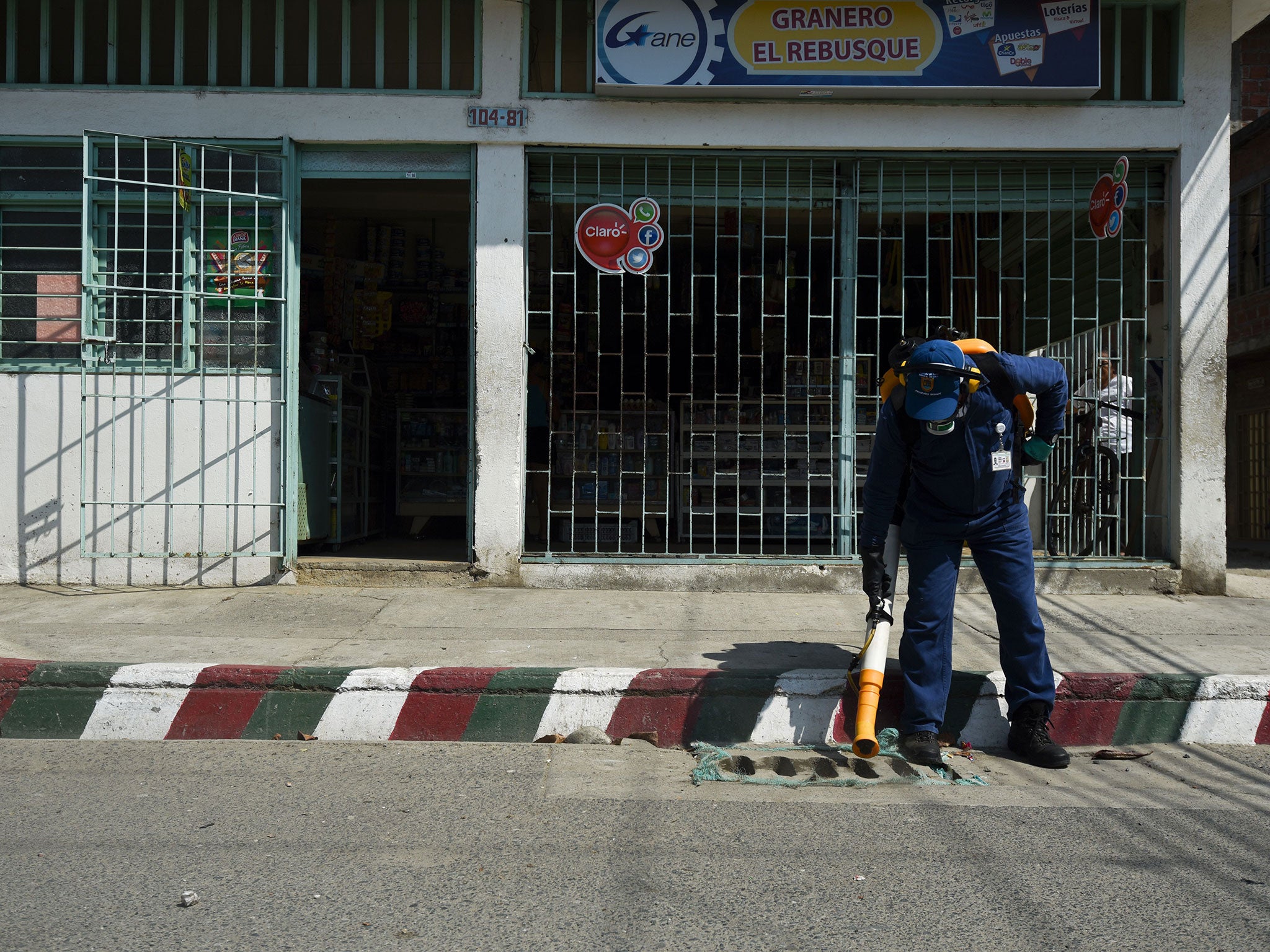 A Health Secretary employee fumigates against the Aedes Aegypti mosquito , which carries the Zika virus, in Cali, Colombia