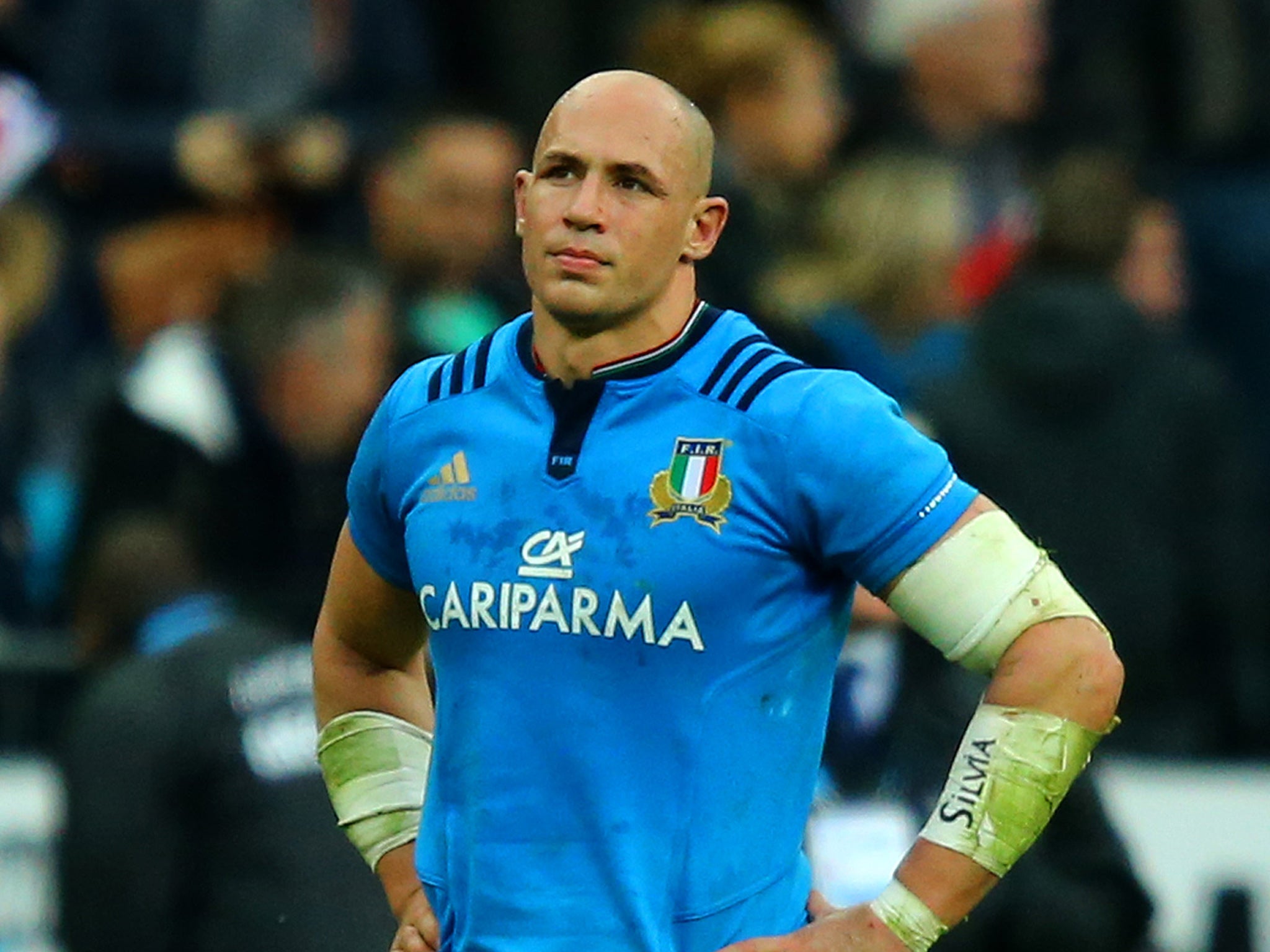 Italy captain Sergio Parisse