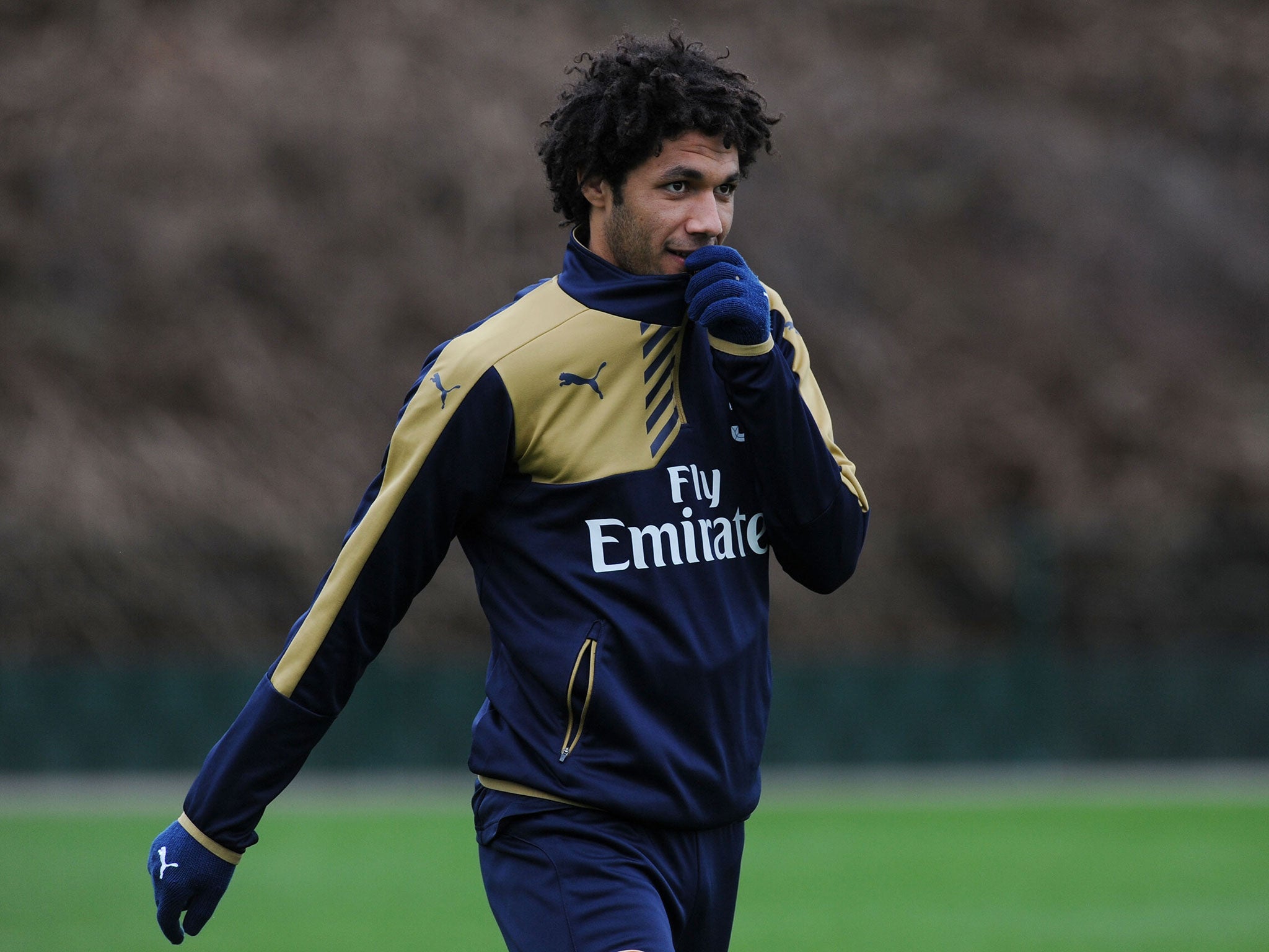 Mohamed Elneny