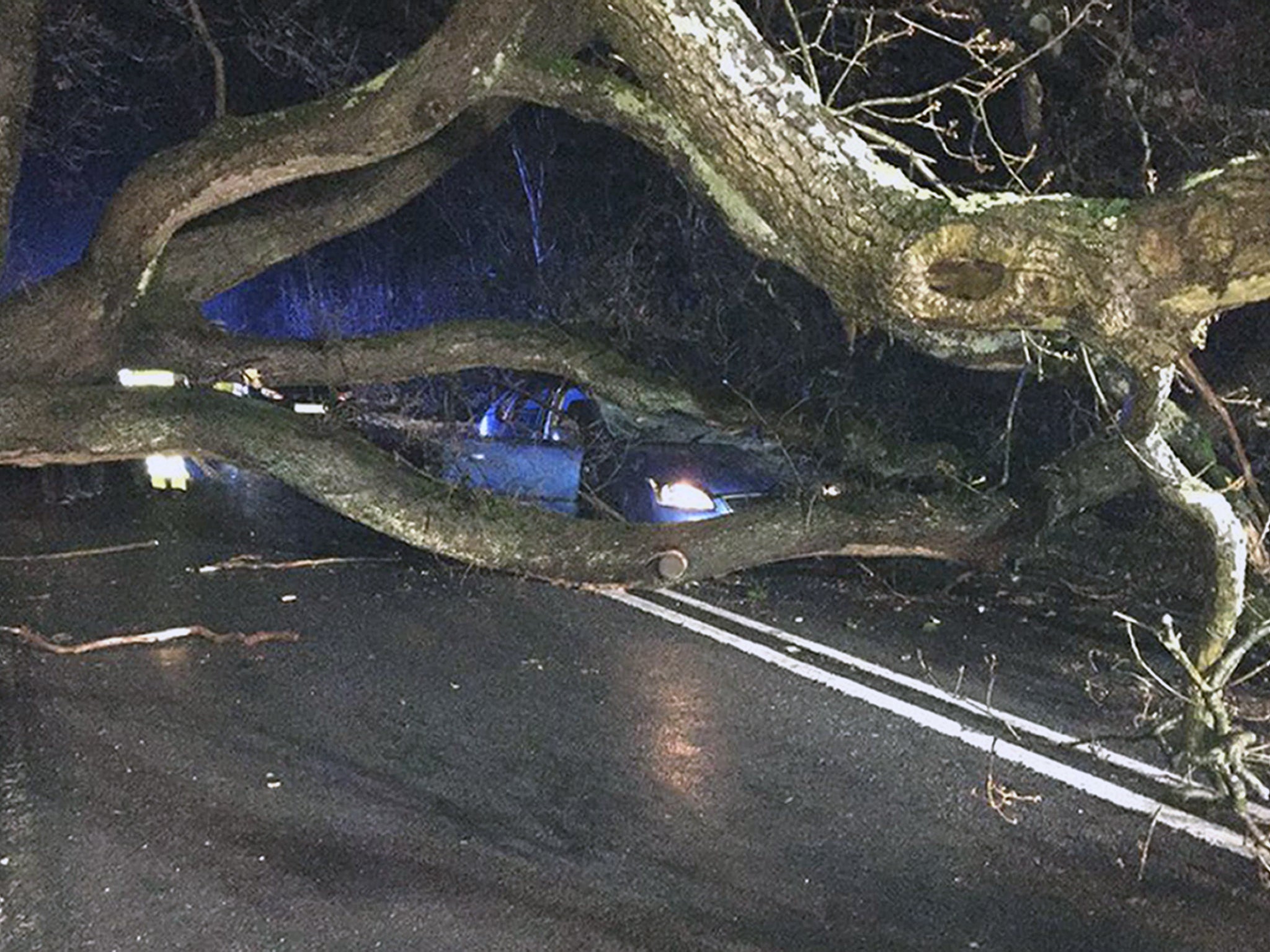 &#13;
A car which crashed into a fallen tree on the Romsey Road in New Forest, Hampshire&#13;