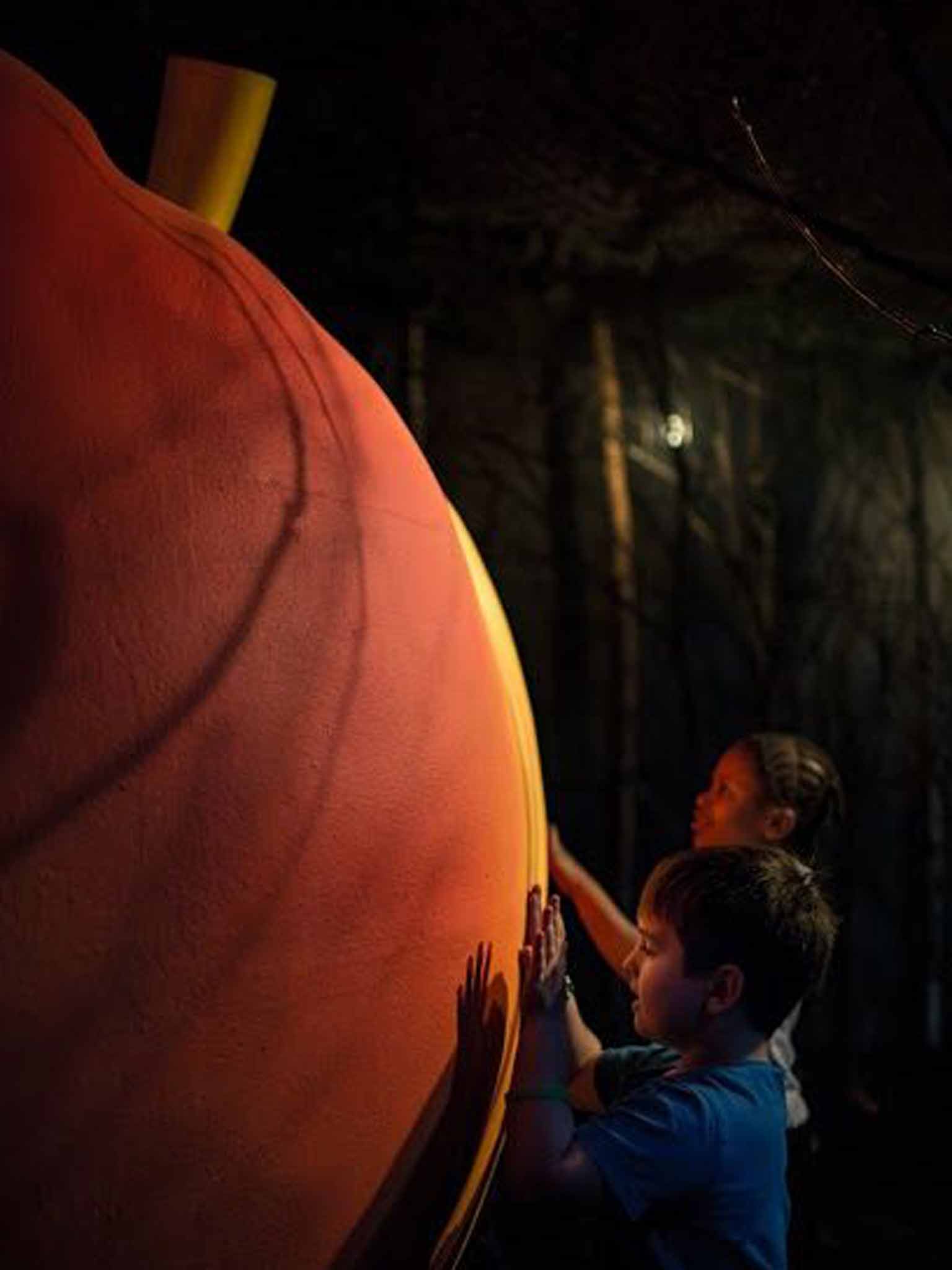 
Tales of the unexpected: children try out the peach (Rex) 