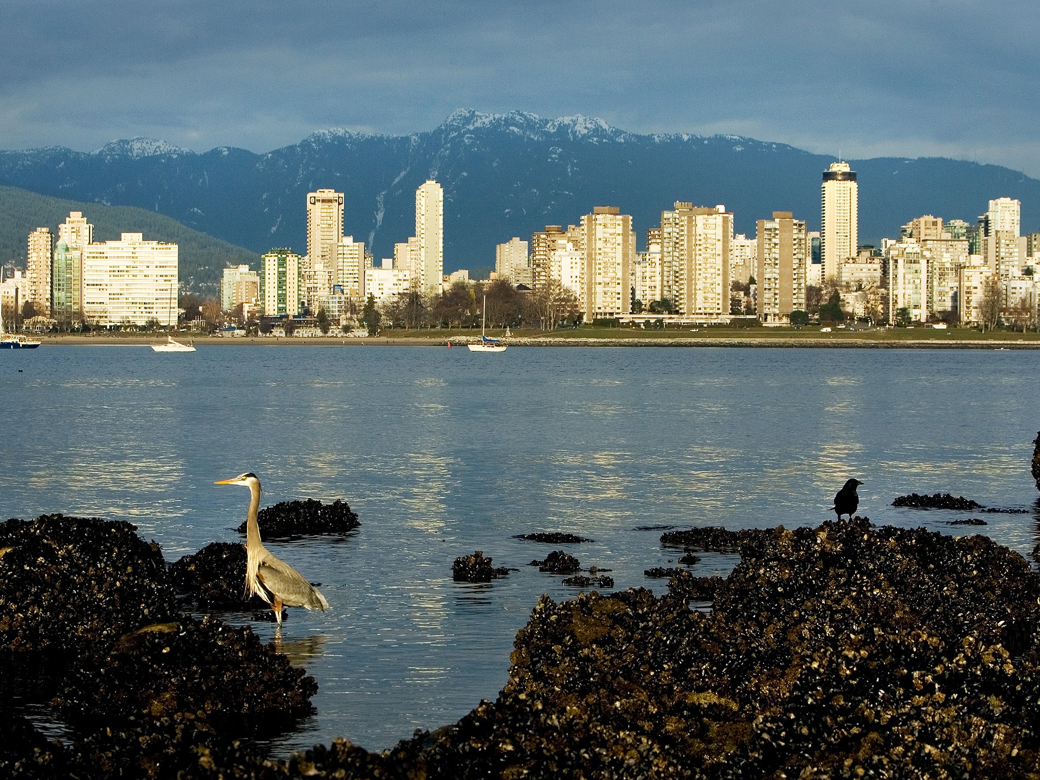 The discoveries have attracted morbid scavengers to the Pacific Northwest shorelines