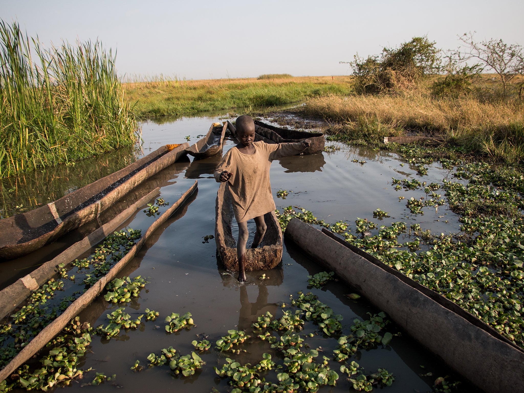 People living on the so-called “highlands” of the Sudd swamp travel on thin canoes for days to register for food