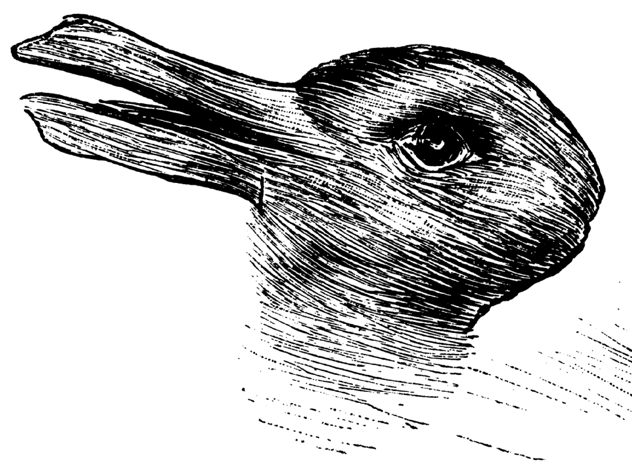 What do you see? A duck or a rabbit?