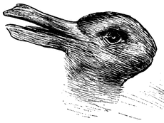 Duck or rabbit? The 100-year-old optical illusion that could tell you how creative you are