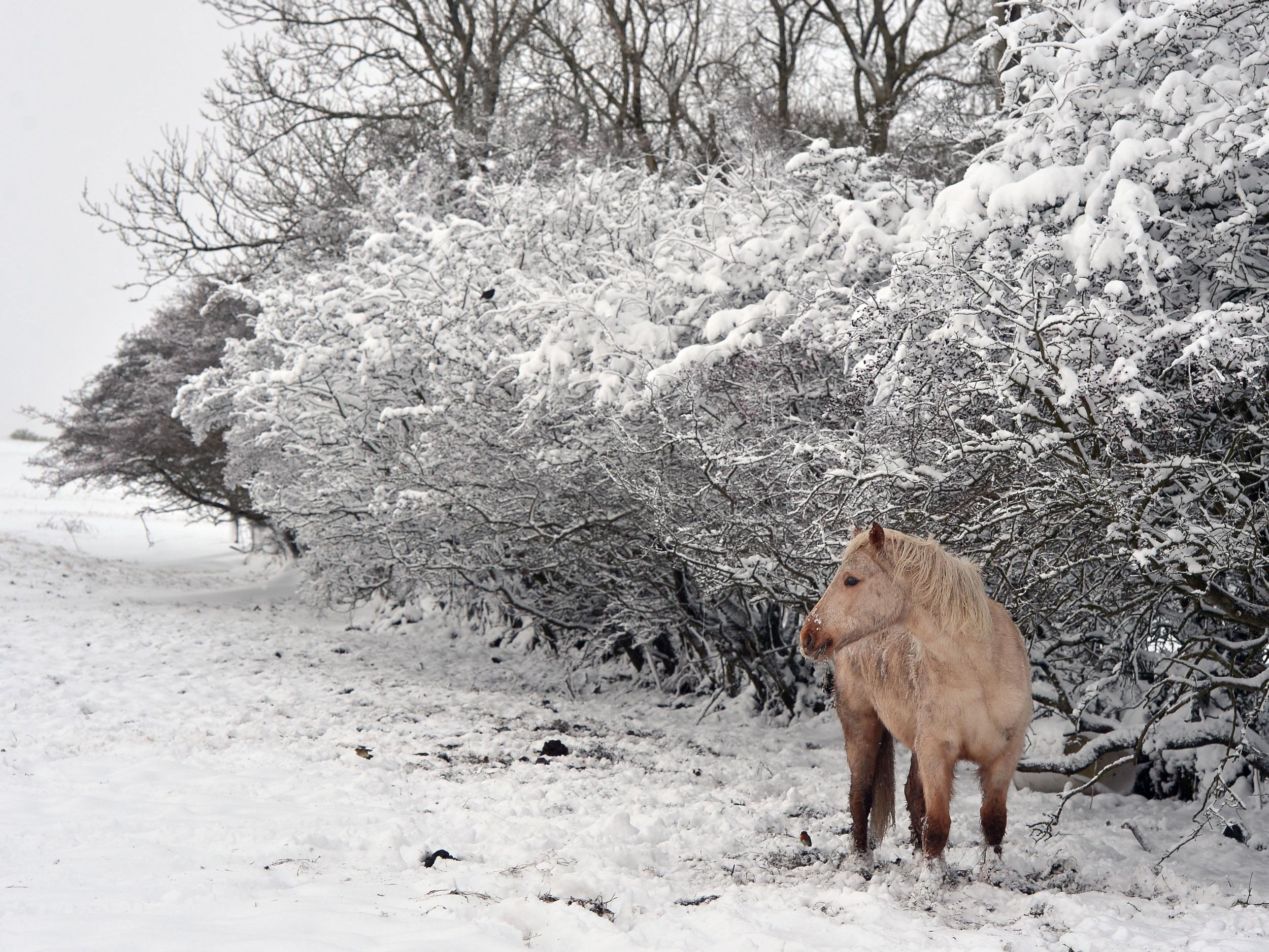 Between 2cm and 6cm of snow is expected on higher ground