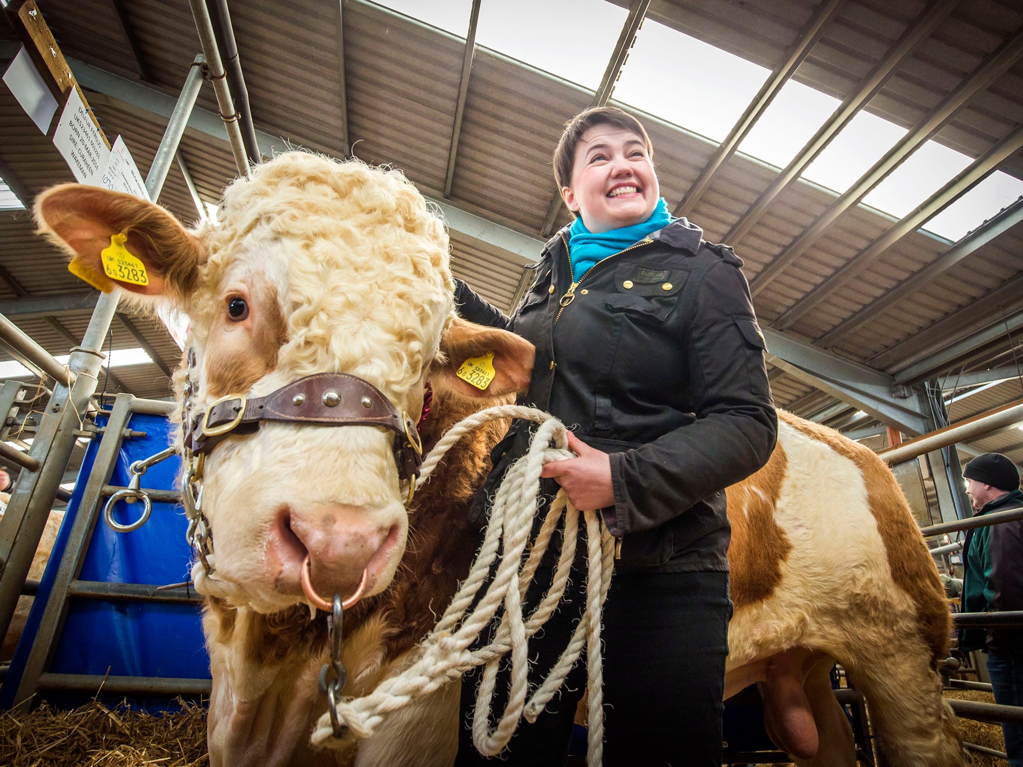 Ruth Davidson, the leader of the Scottish Conservative party, is a hit with the Tory machine in Westminster.