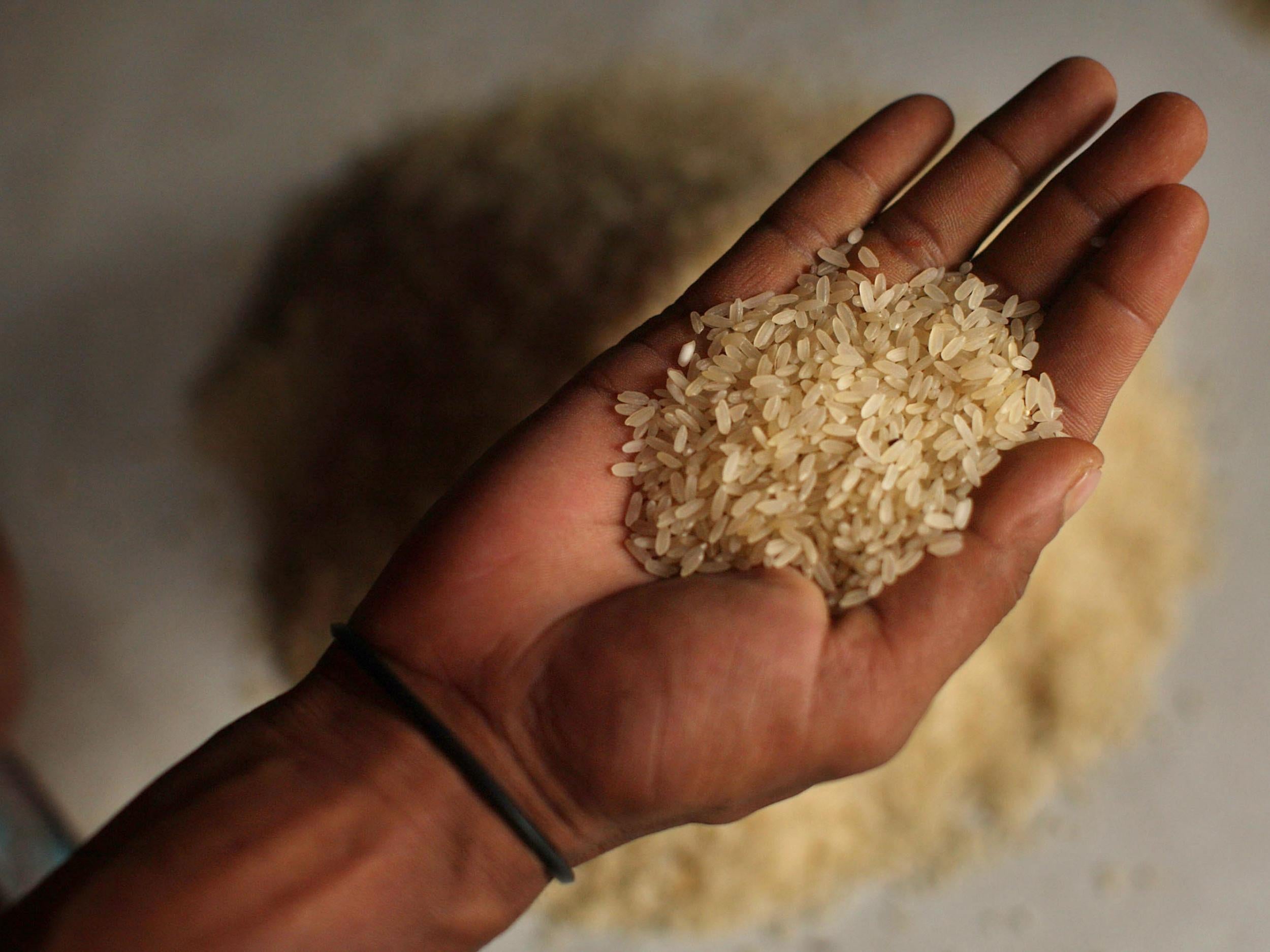 A key priority is to pack more nutrients into rice