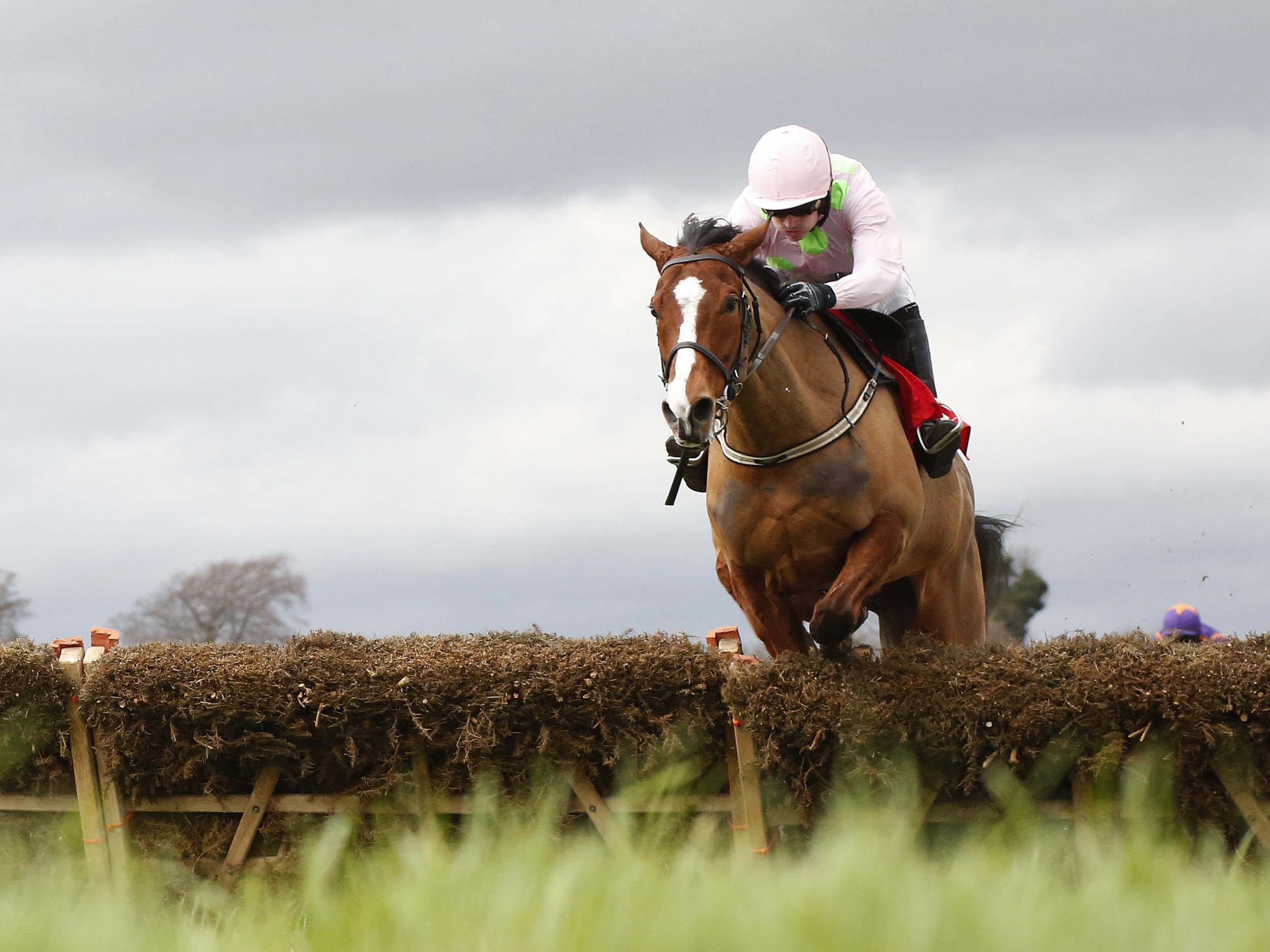 Faugheen