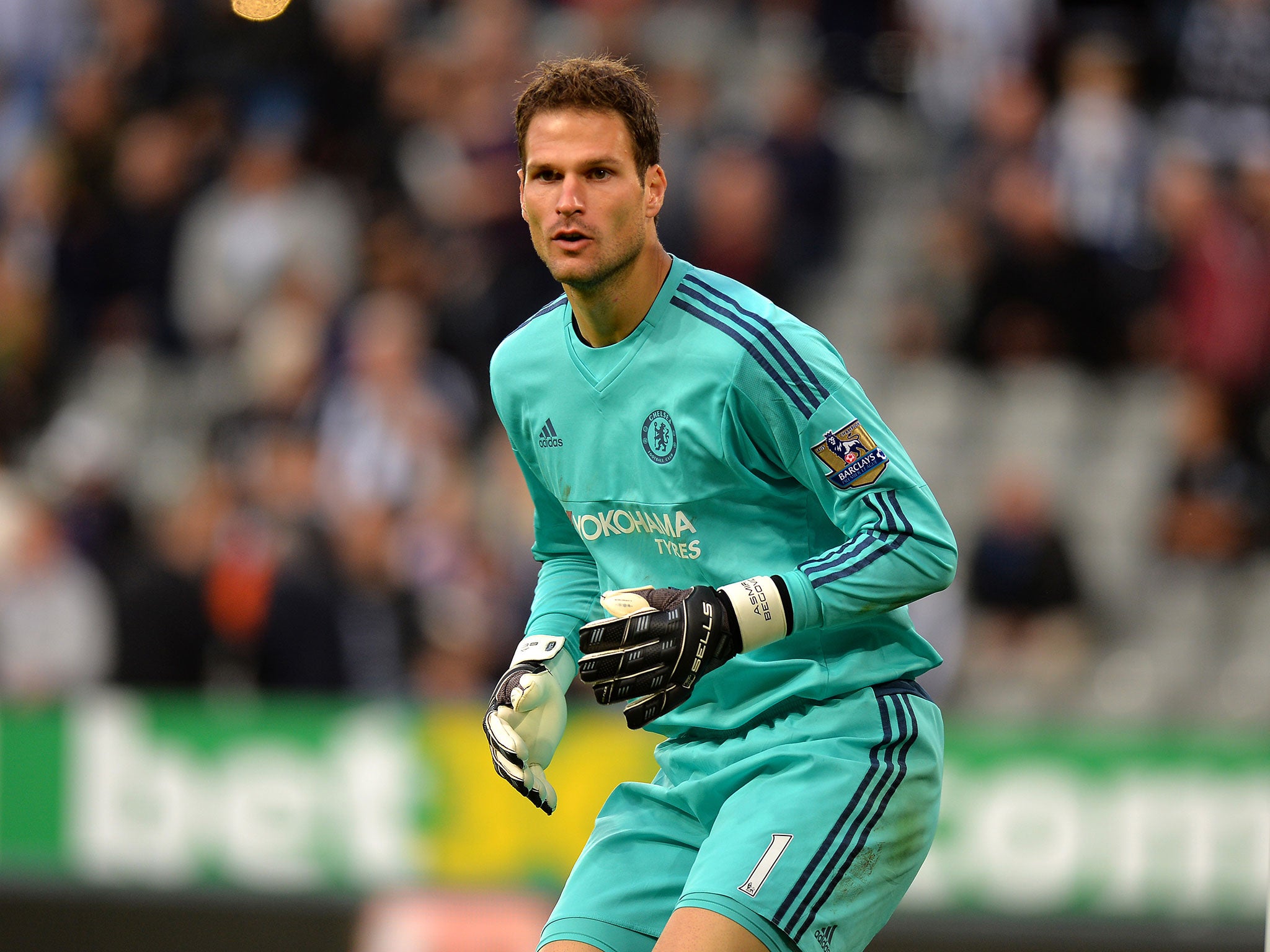 Chelsea goalkeeper Asmir Begovic is believed to be on Everton's wanted list