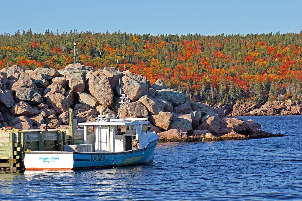 Cape Breton Island does not have a high enough local population to meet demand