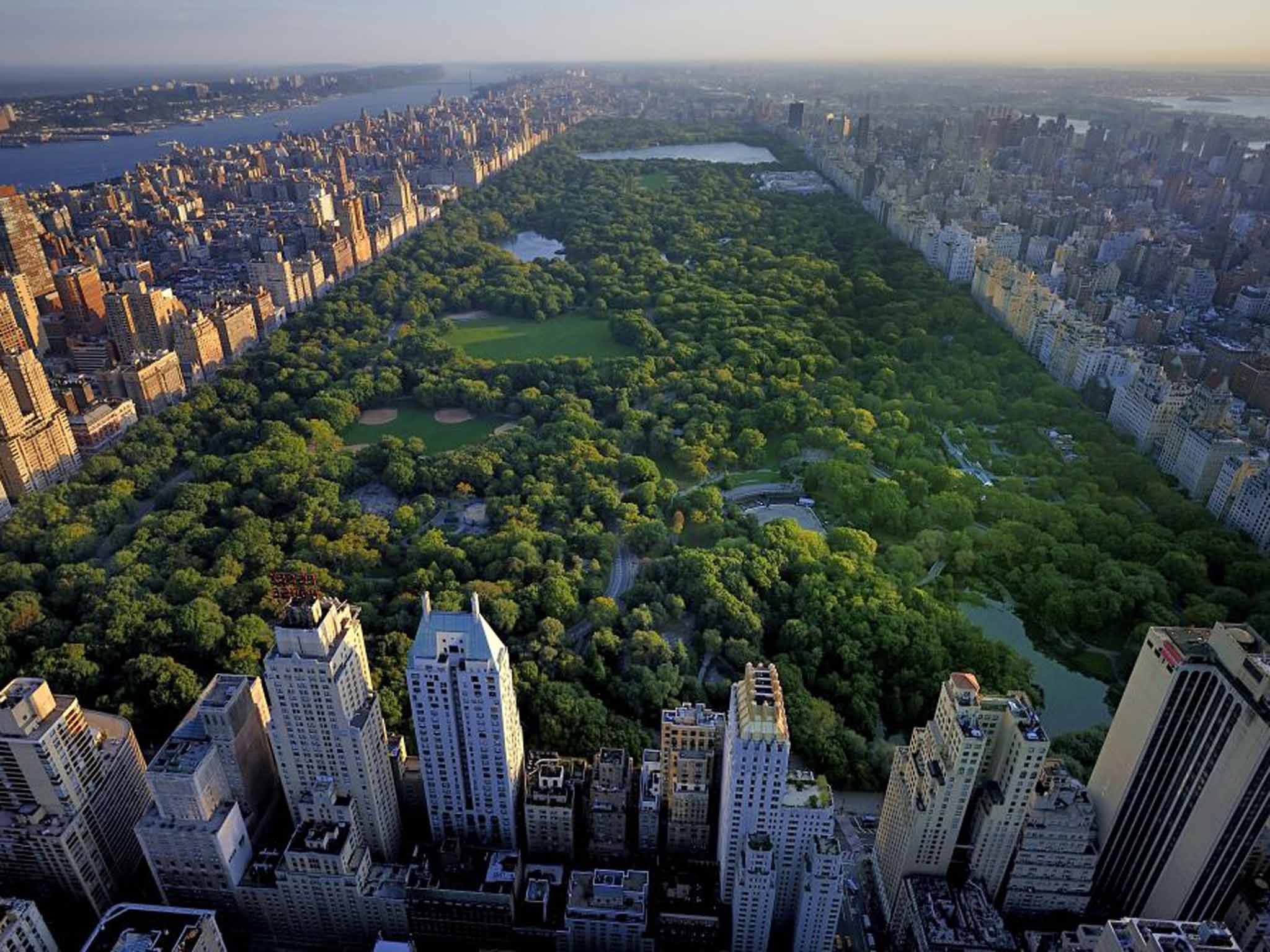 Tree lines: Jane loves to write in Central Park