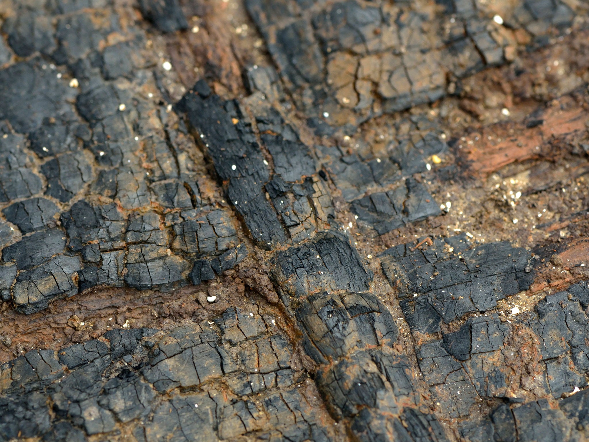 A close-up of the most complete Bronze Age wheel ever found in Britain