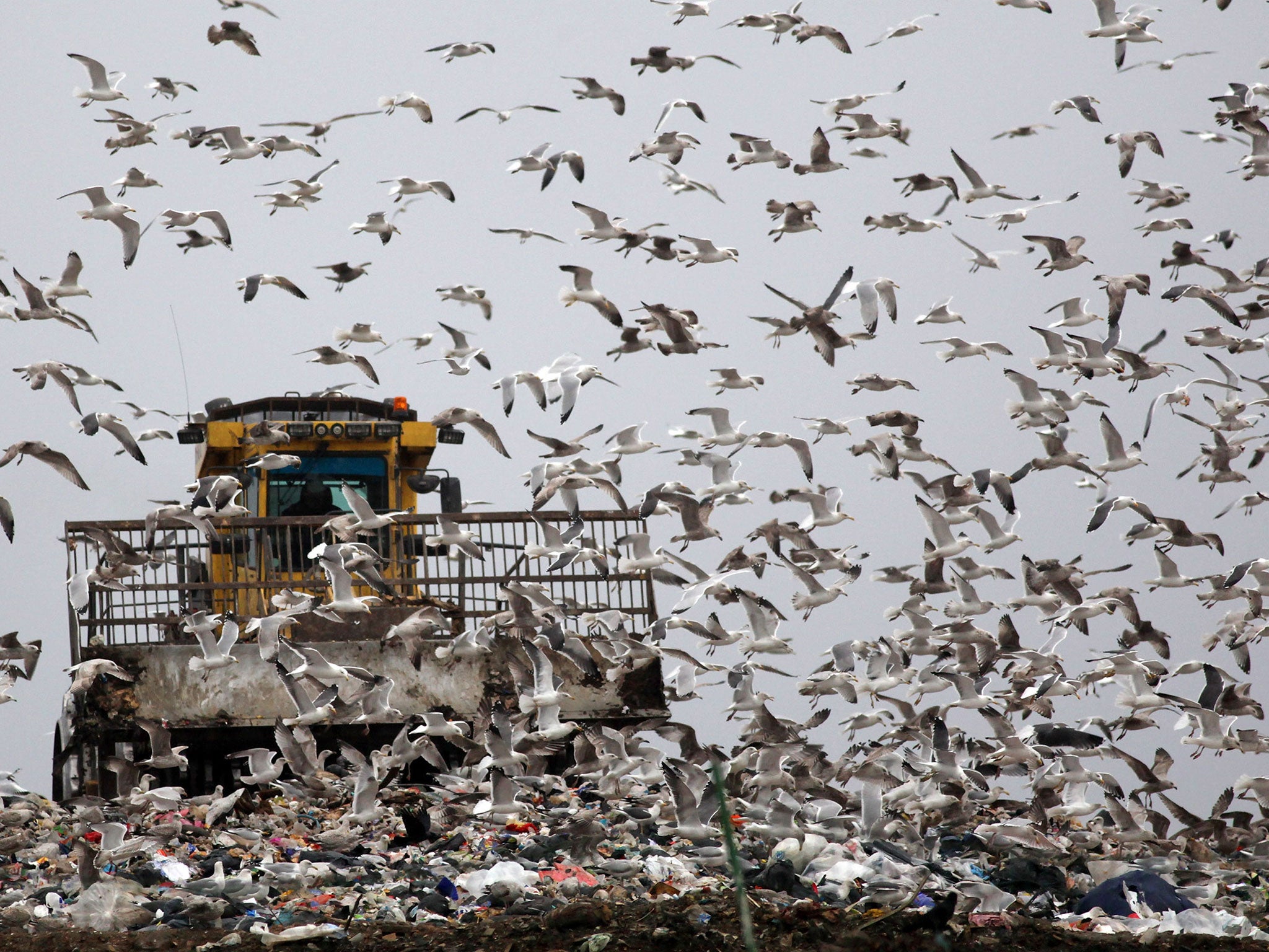 A bulldozer compacts freshly dumped rubbish at a landfill site in Gloucester