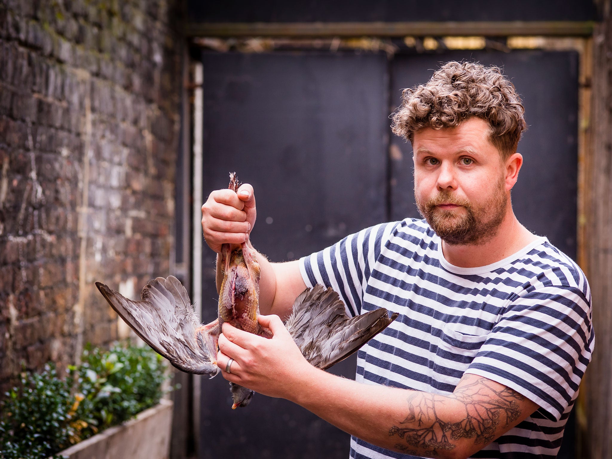 Robin with the wood pigeon: Game is the essence of macho cooking