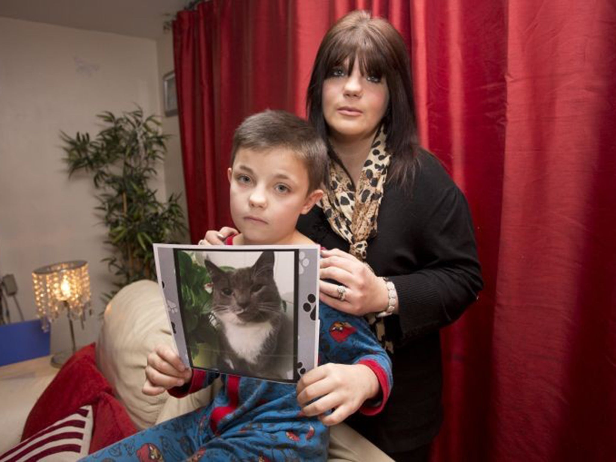 Amber Lewis and her son Liam, eight, whose cat, Leo, is believed to have been a victim of the Croydon Cat Killer, who is suspected of having killed up to 66 animals; Louie died after its leg was severed.