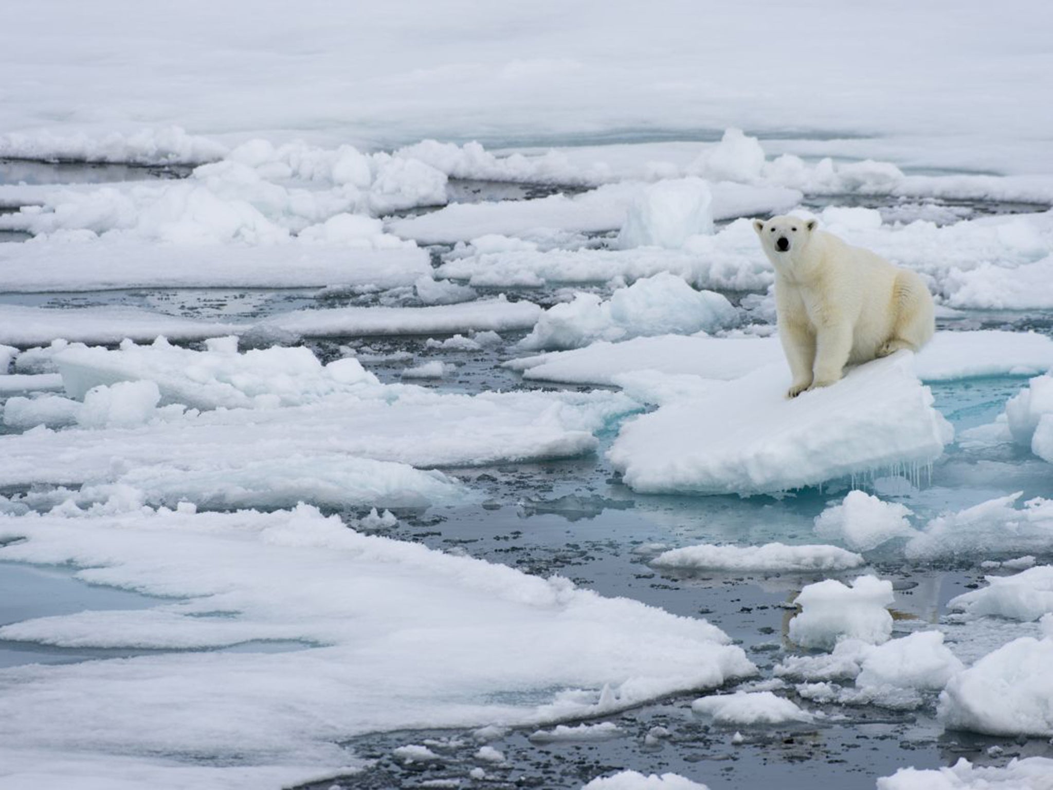 Sea-water levels have risen by almost 7.8 per cent inches since 1870