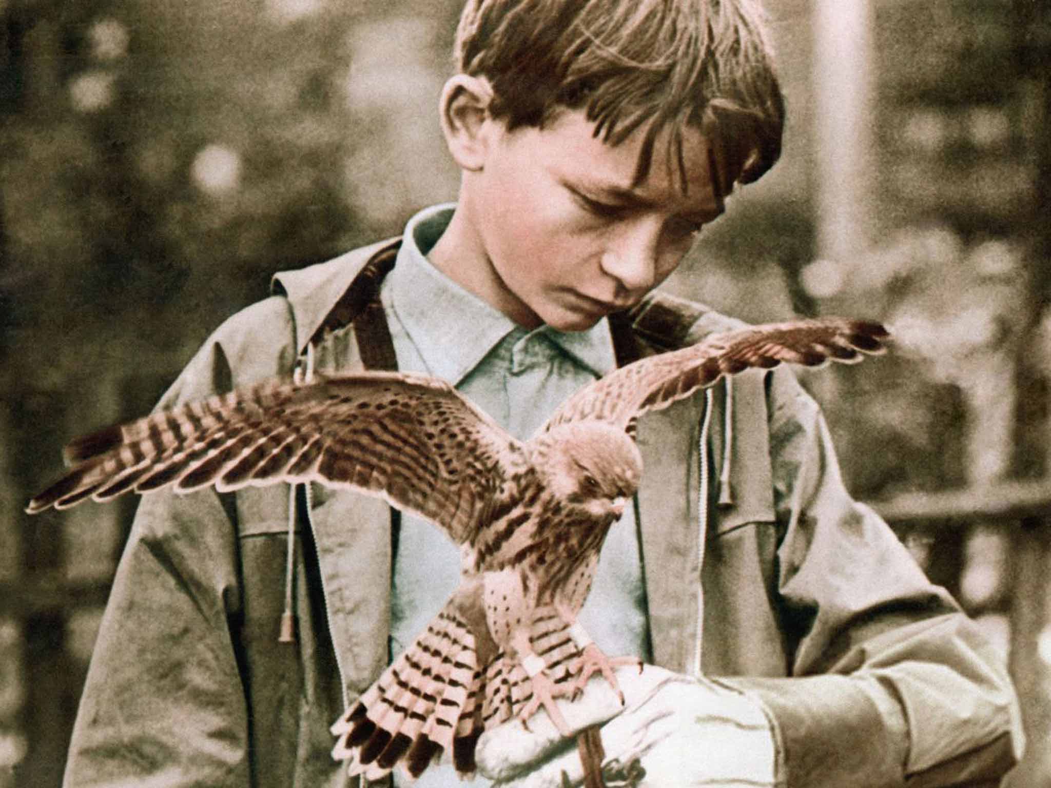 A scene from 'Kes'