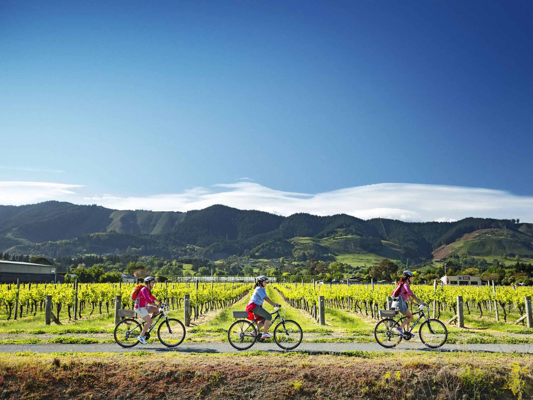 By bike: Viniculture in action