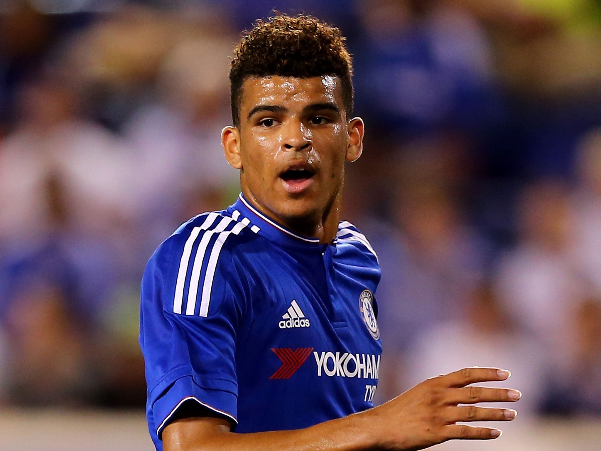 Dominic Solanke