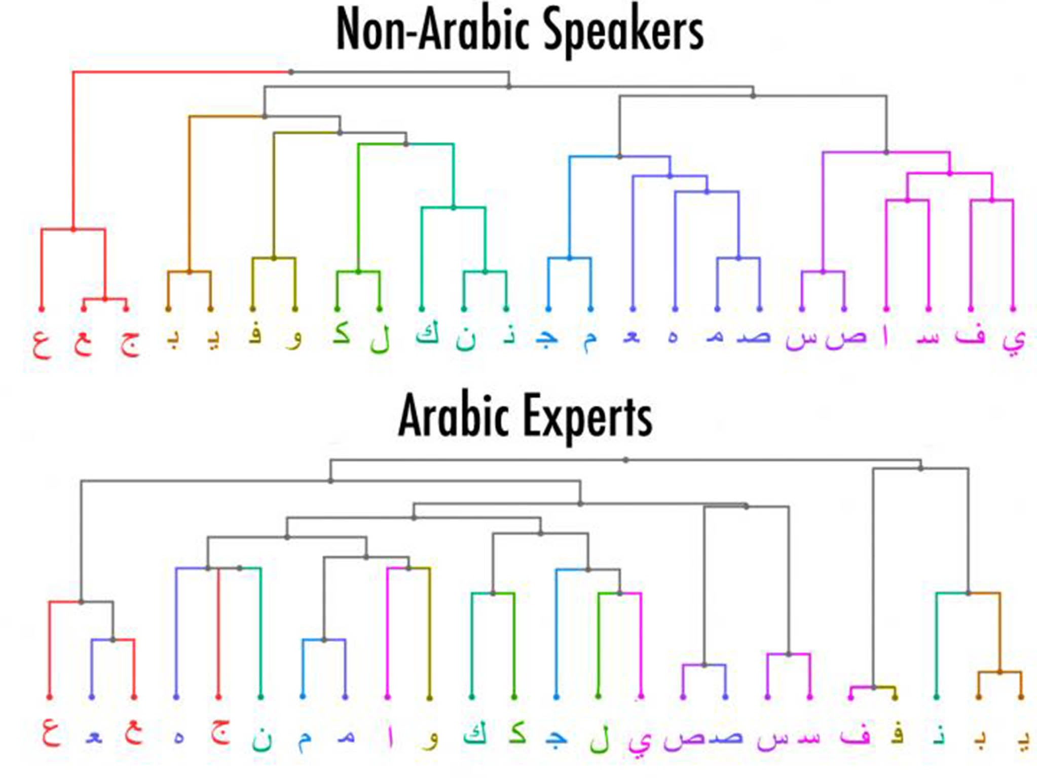 &#13;
This chart groups letters based on how similar they looked to test participants who did not know Arabic and those who were experts in the language&#13;