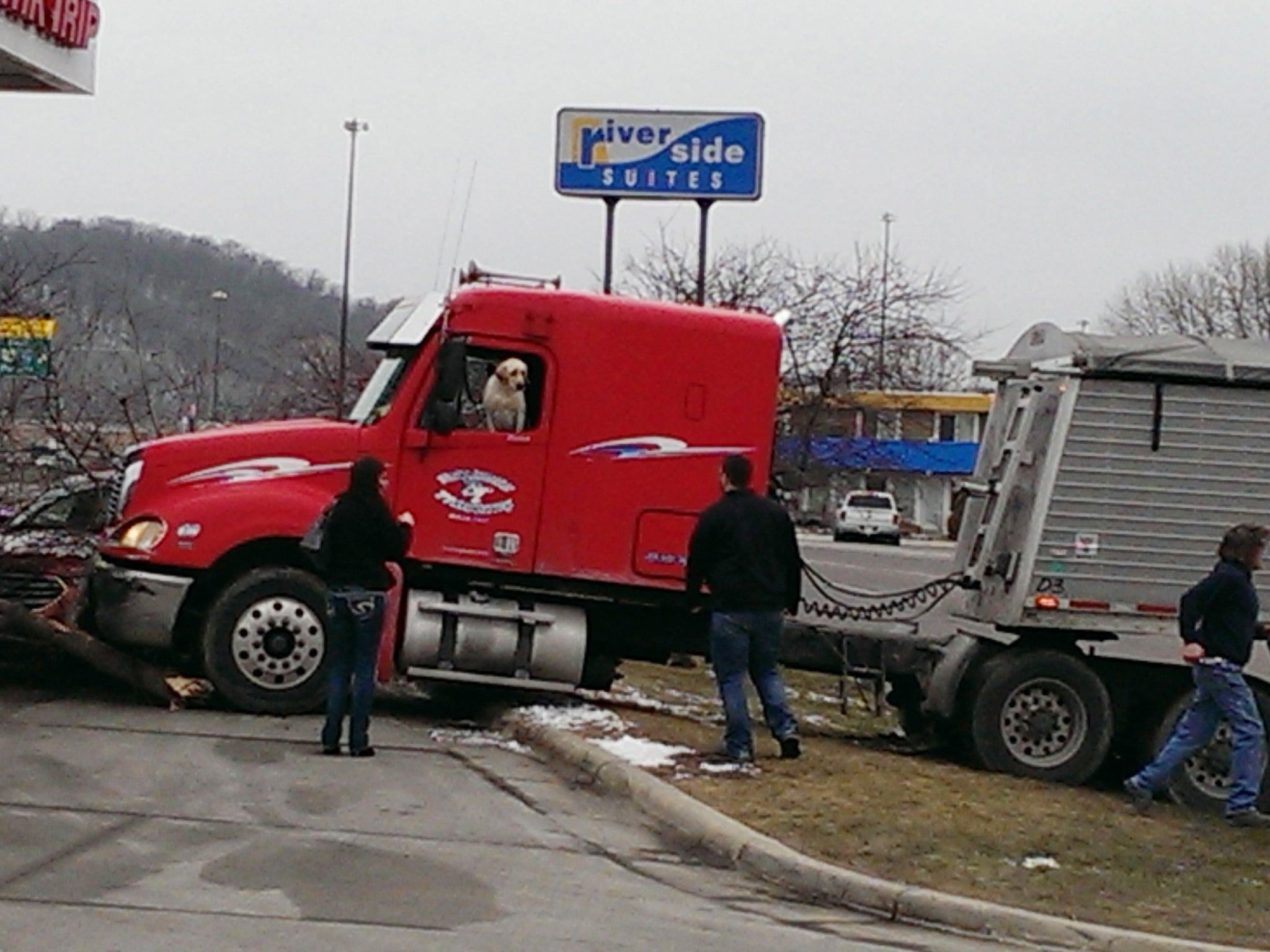 A dog got behind the wheel of a truck in Minnesota and caused absolute chaos