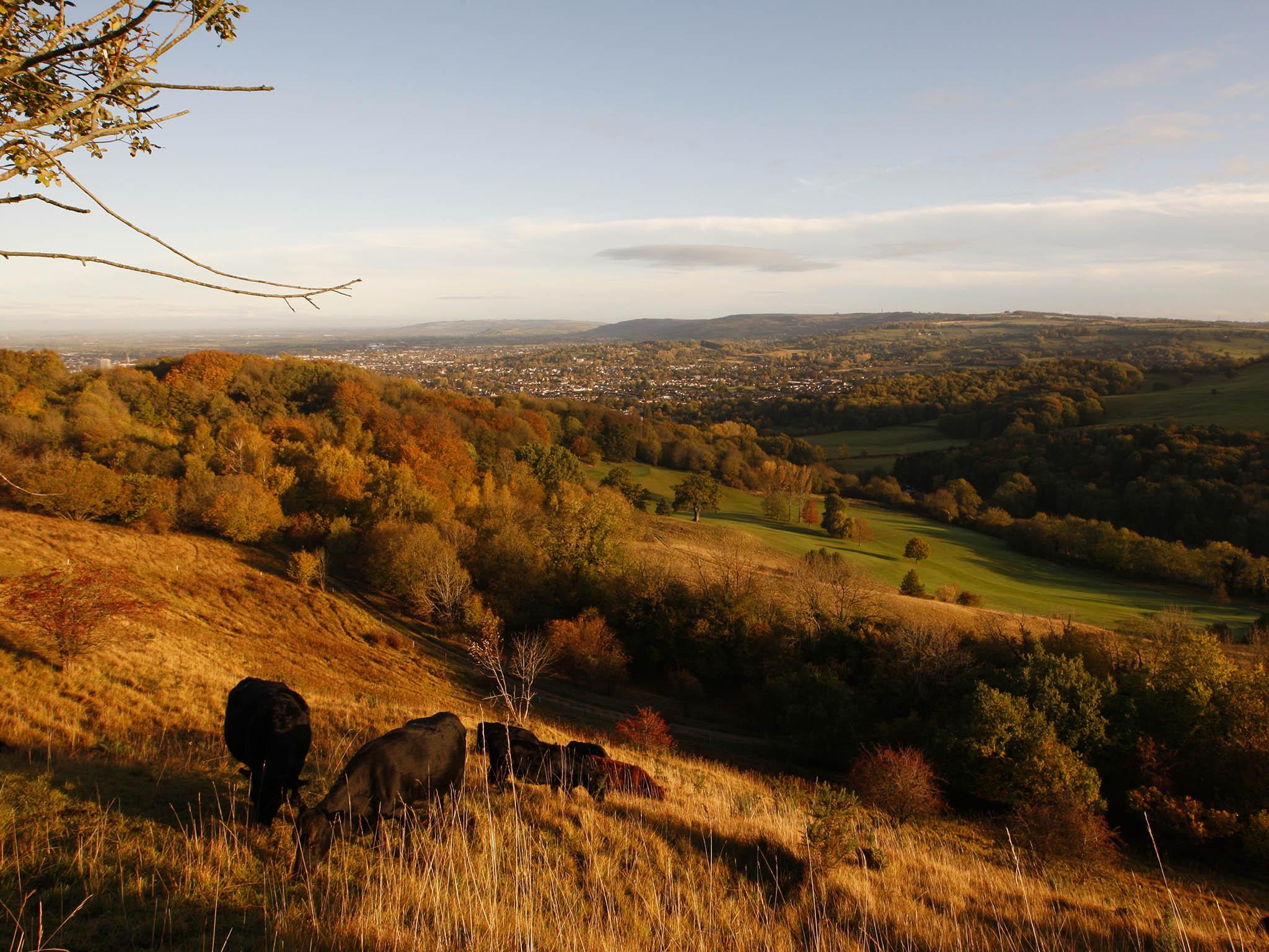 Remain supporters point out that the UK cannot resolve or eliminate problems such as air and sea pollution or contagions such as mad cow disease without co-operation from the rest of the EU