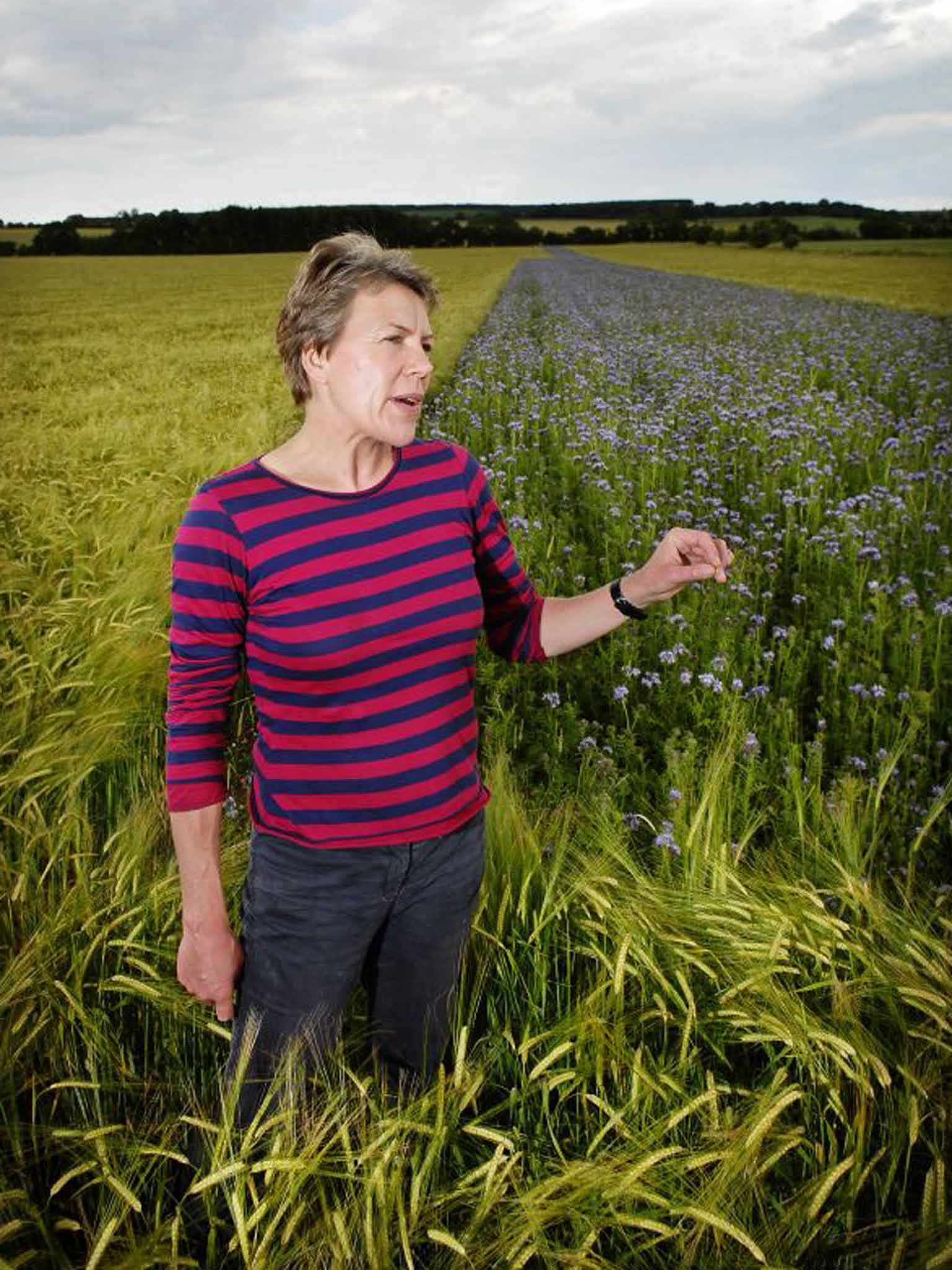 Organic farmer Helen Browning Martin Phelps