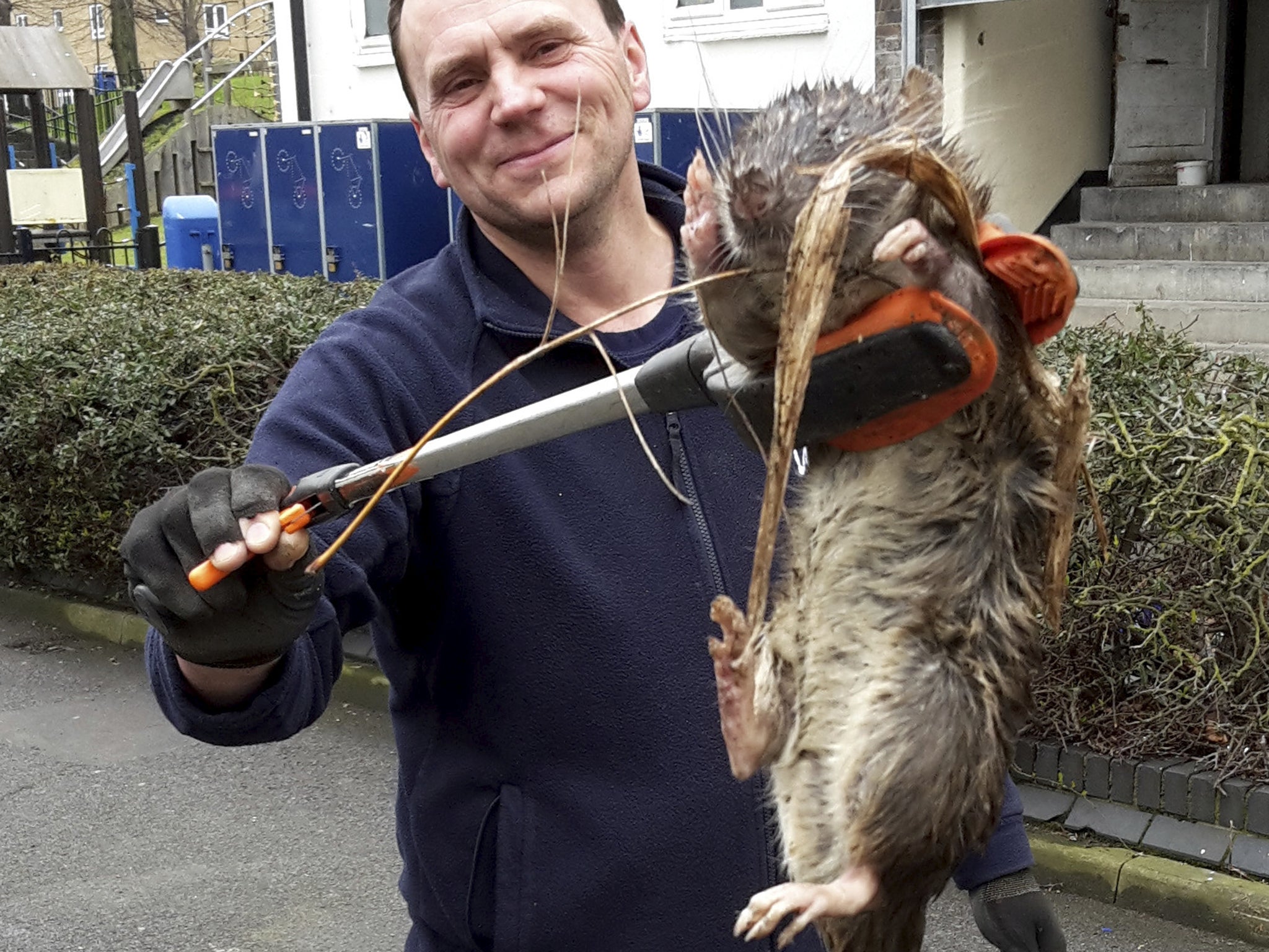 The rat that sparked headlines across the country