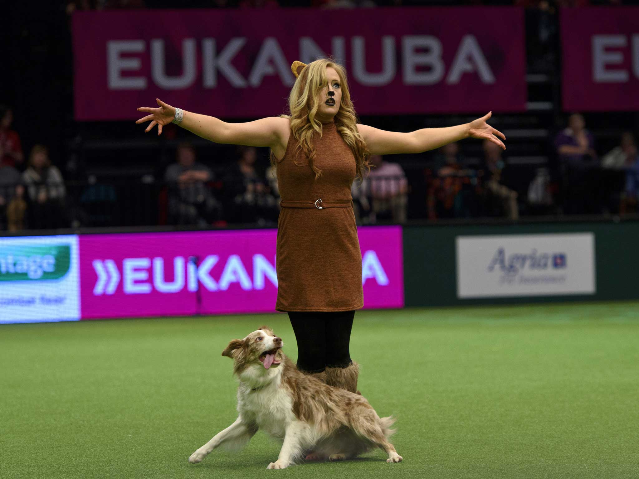 Oddly fascinating: Nearly 22,000 canines from all over the world are assembled at Crufts